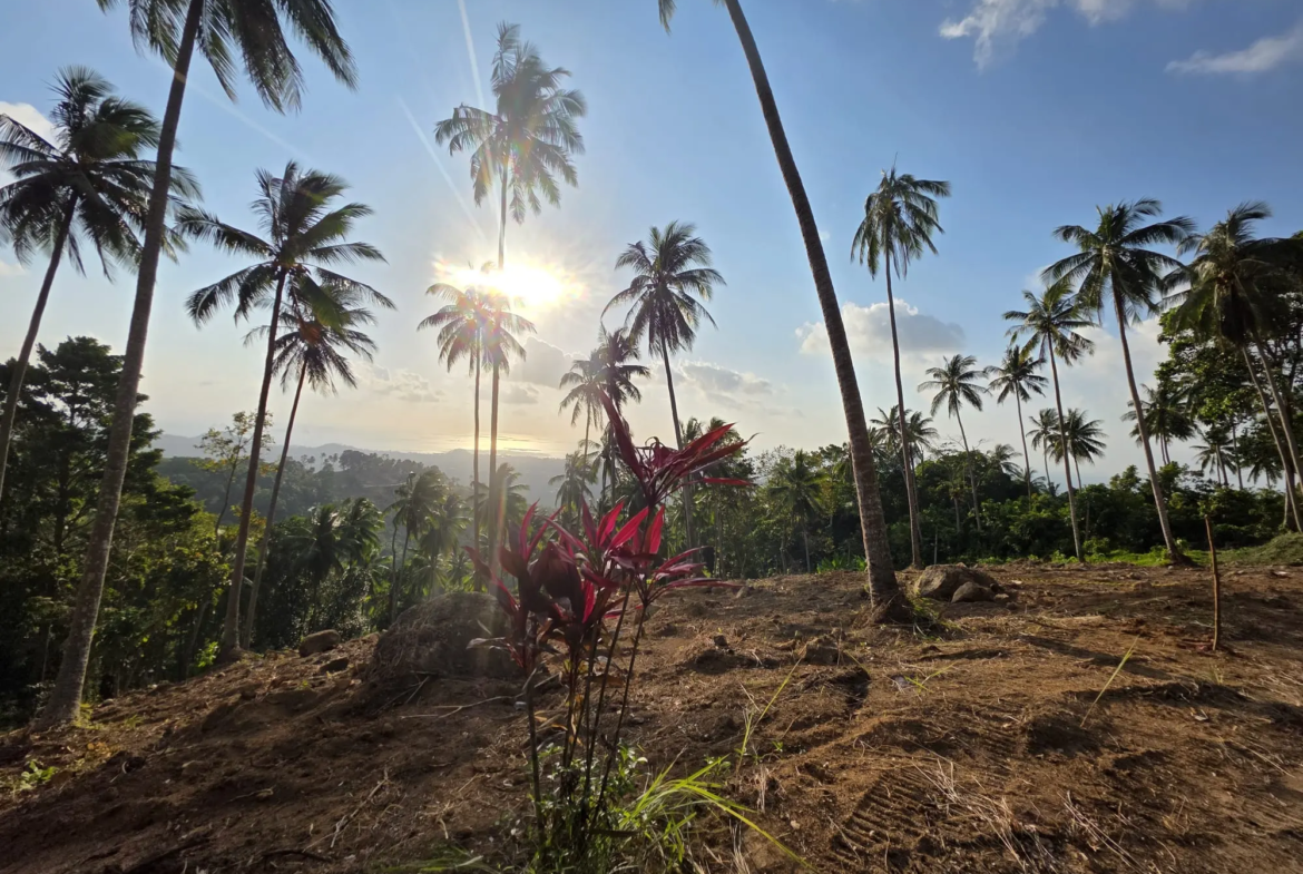 Prime Land for Sale in Lipa Noi, Koh Samui – 836 Sq.m.