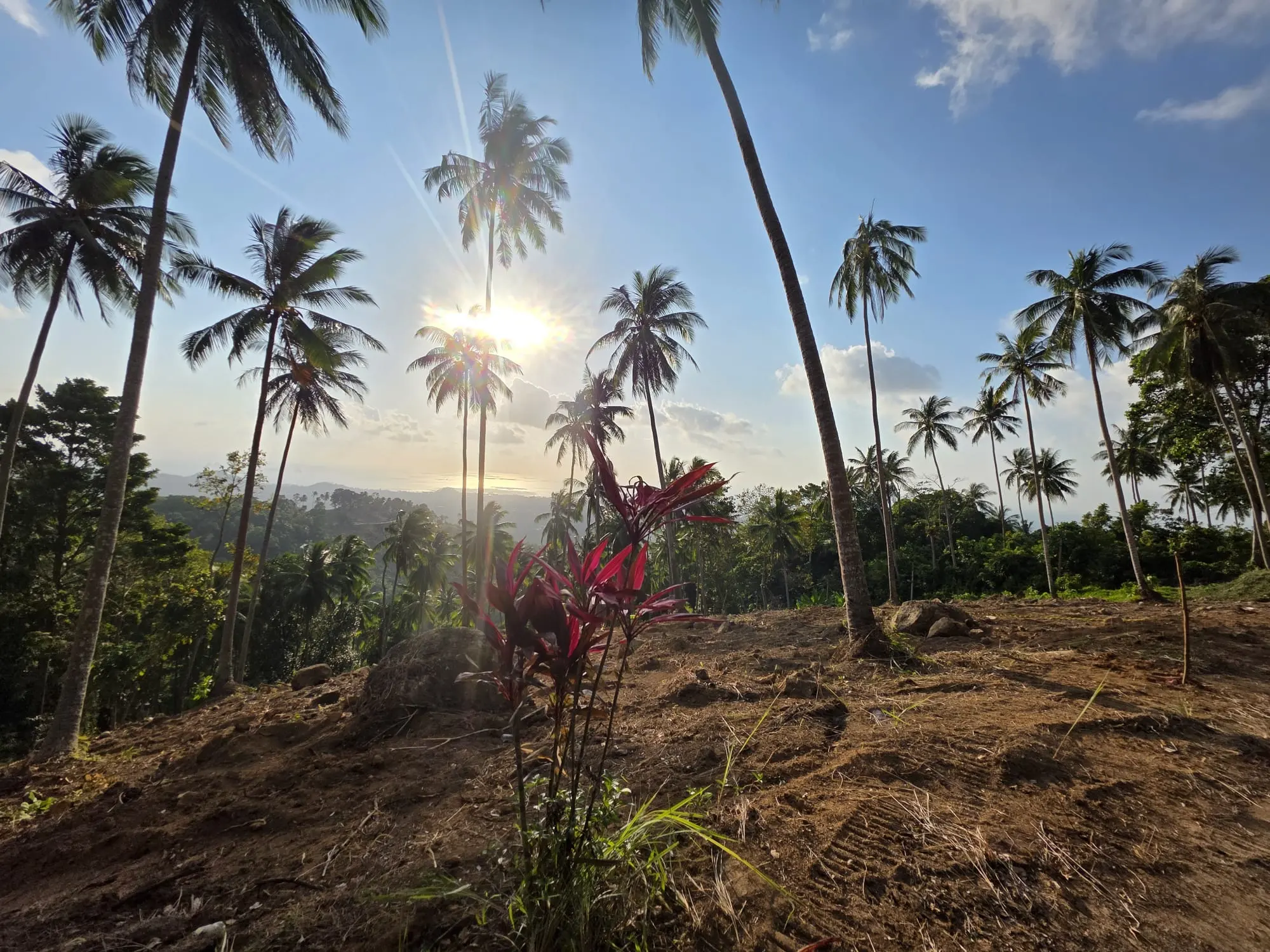 Prime Land for Sale in Lipa Noi, Koh Samui – 836 Sq.m.