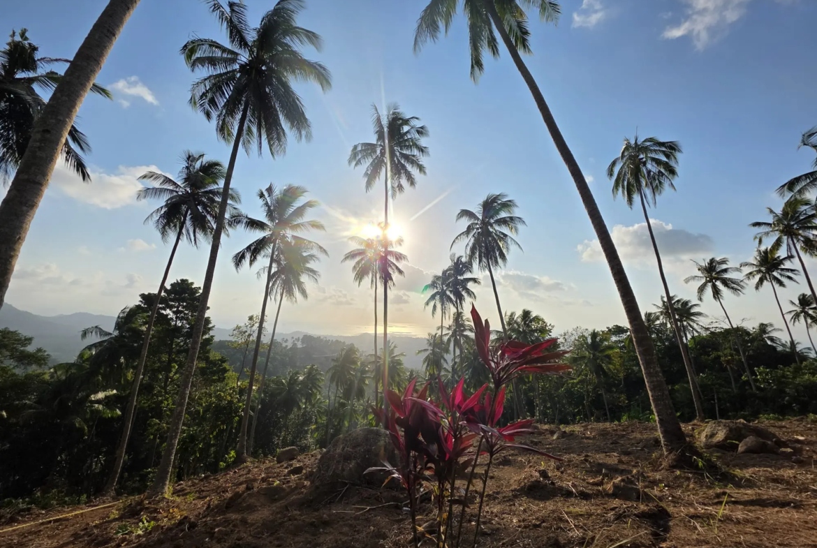 Prime Land for Sale in Lipa Noi, Koh Samui – 836 Sq.m.