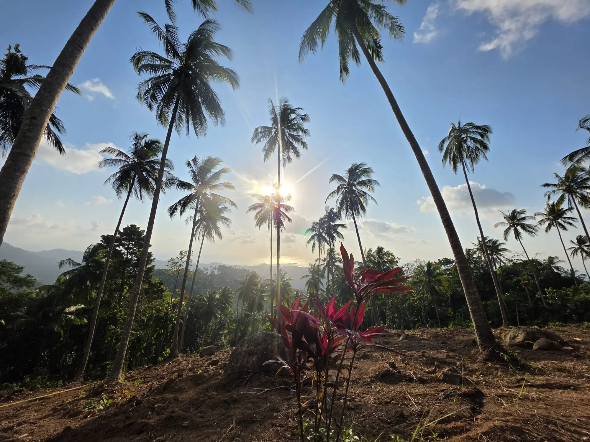 Prime Land for Sale in Lipa Noi, Koh Samui – 836 Sq.m.