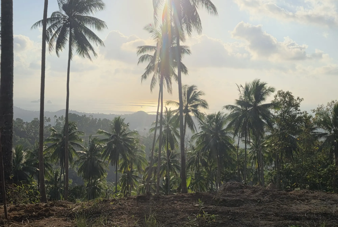 Prime Land for Sale in Lipa Noi, Koh Samui – 836 Sq.m.