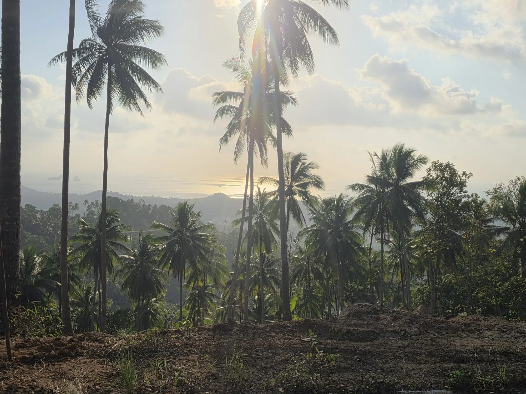 Prime Land for Sale in Lipa Noi, Koh Samui – 836 Sq.m.