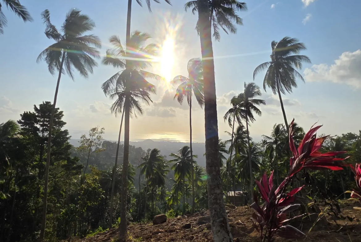 Prime Land for Sale in Lipa Noi, Koh Samui – 836 Sq.m.