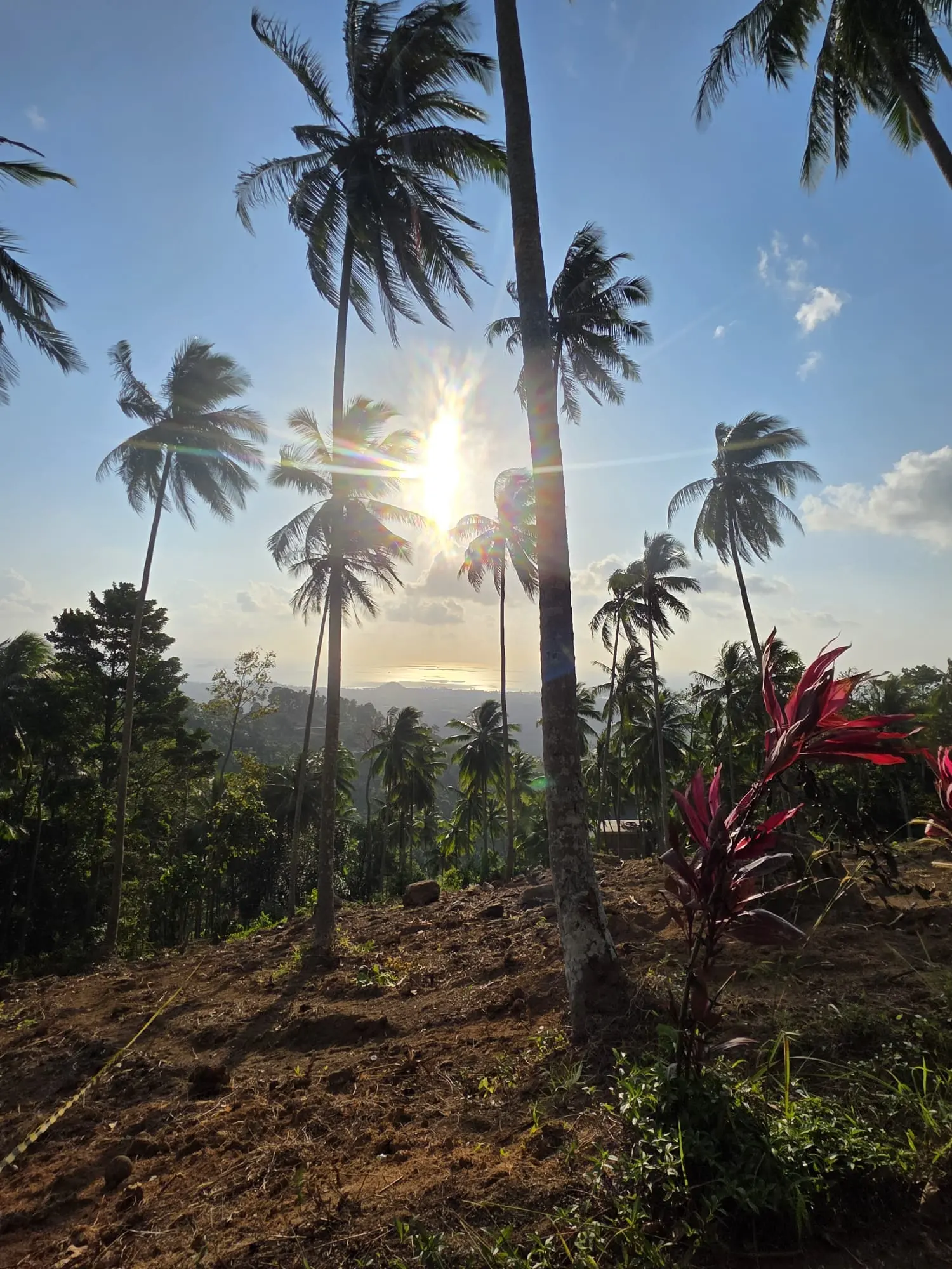 Prime Land for Sale in Lipa Noi, Koh Samui – 836 Sq.m.