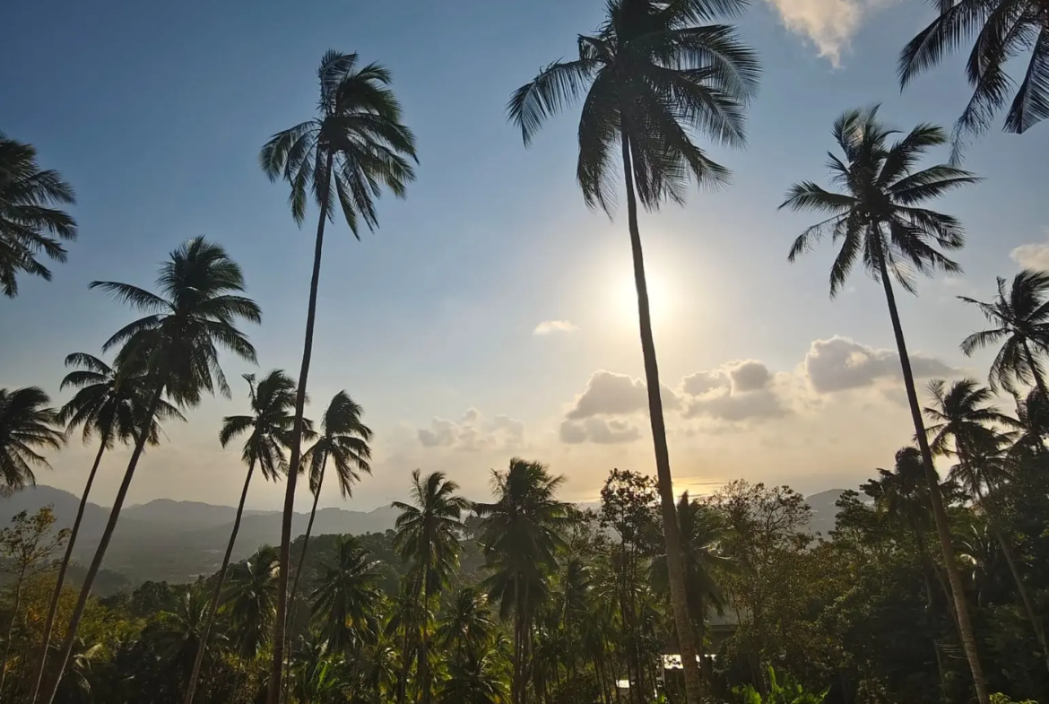 Prime Land for Sale in Lipa Noi, Koh Samui – 836 Sq.m.