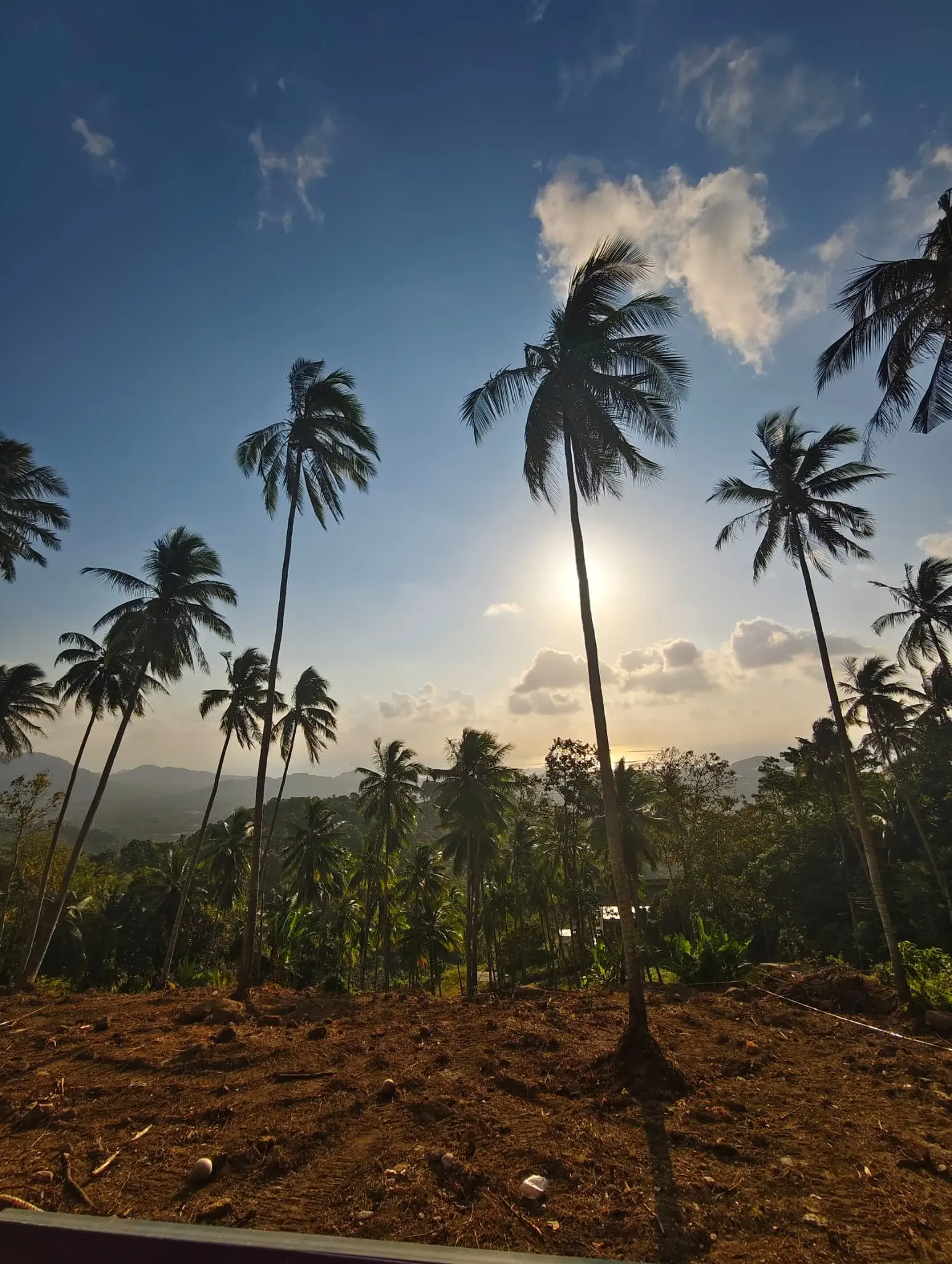 Prime Land for Sale in Lipa Noi, Koh Samui – 836 Sq.m.