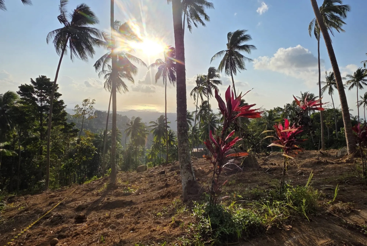 Prime Land for Sale in Lipa Noi, Koh Samui – 836 Sq.m.
