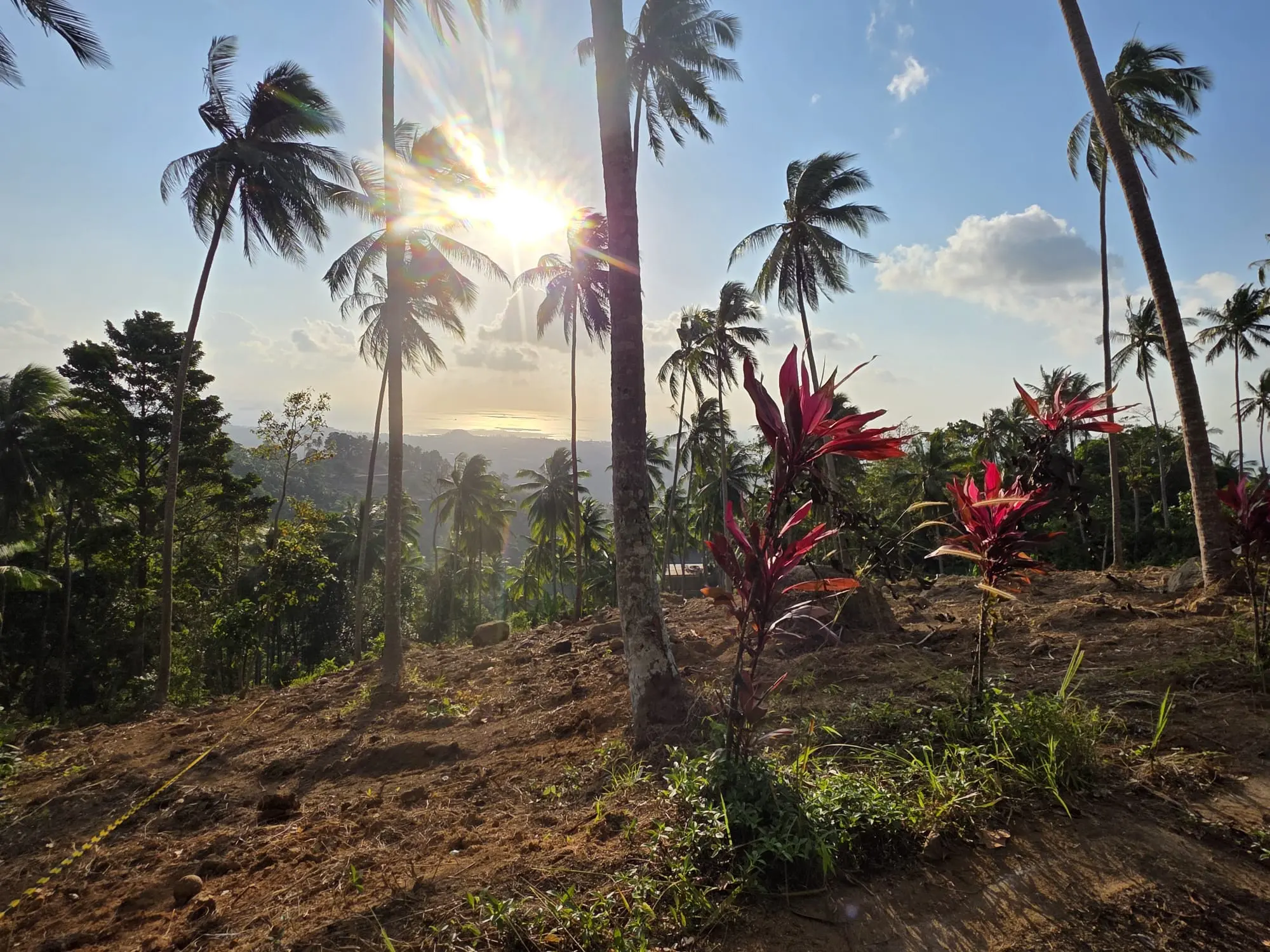 Prime Land for Sale in Lipa Noi, Koh Samui – 836 Sq.m.