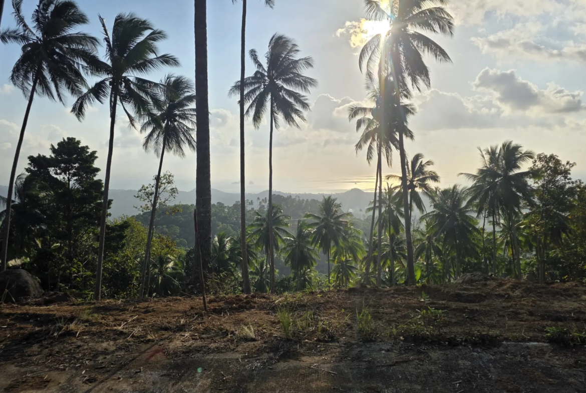 Prime Land for Sale in Lipa Noi, Koh Samui – 836 Sq.m.