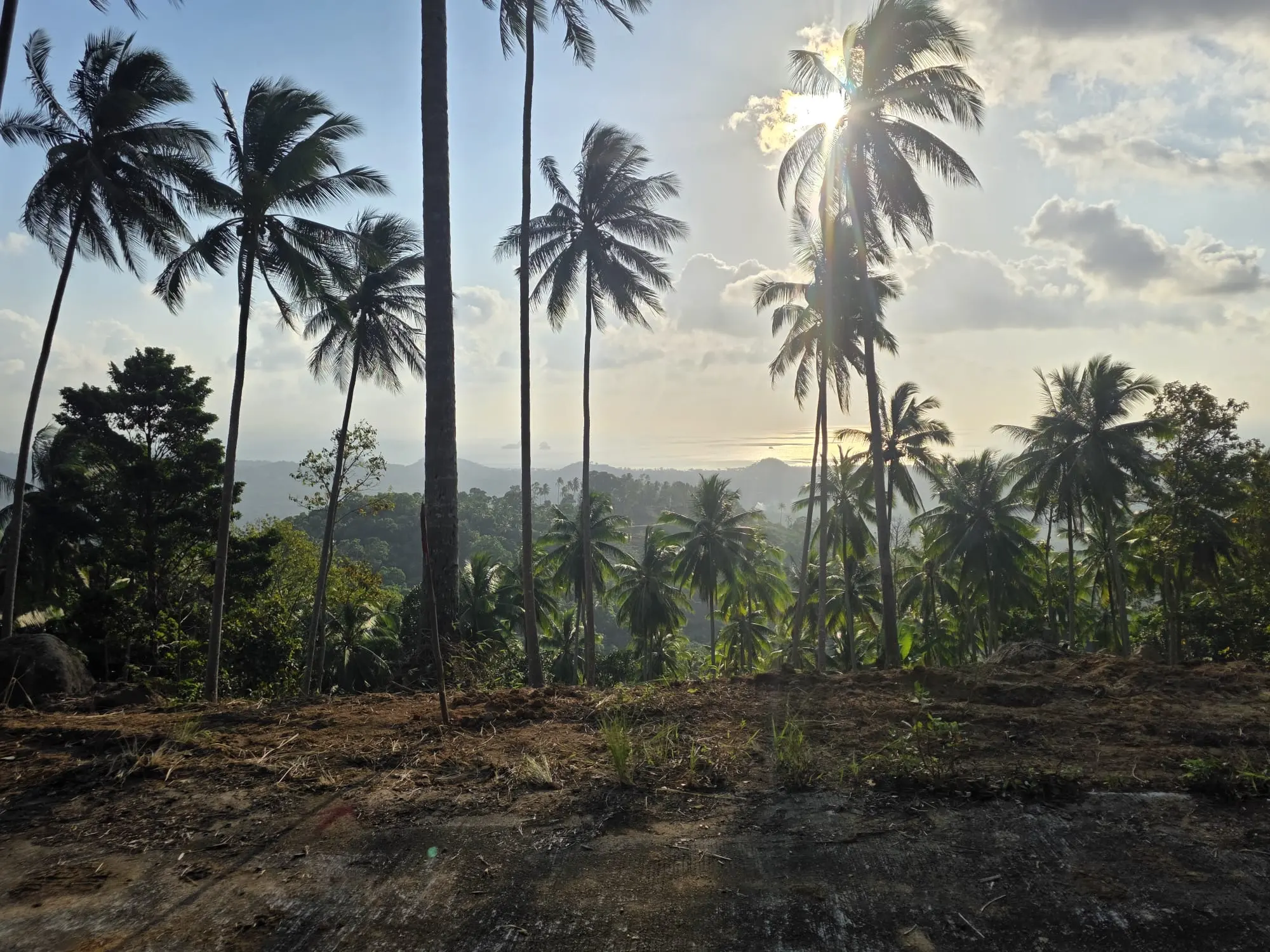 Prime Land for Sale in Lipa Noi, Koh Samui – 836 Sq.m.