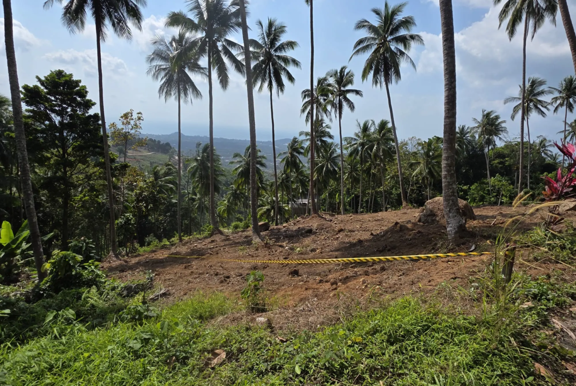 Prime Land for Sale in Lipa Noi, Koh Samui – 836 Sq.m.