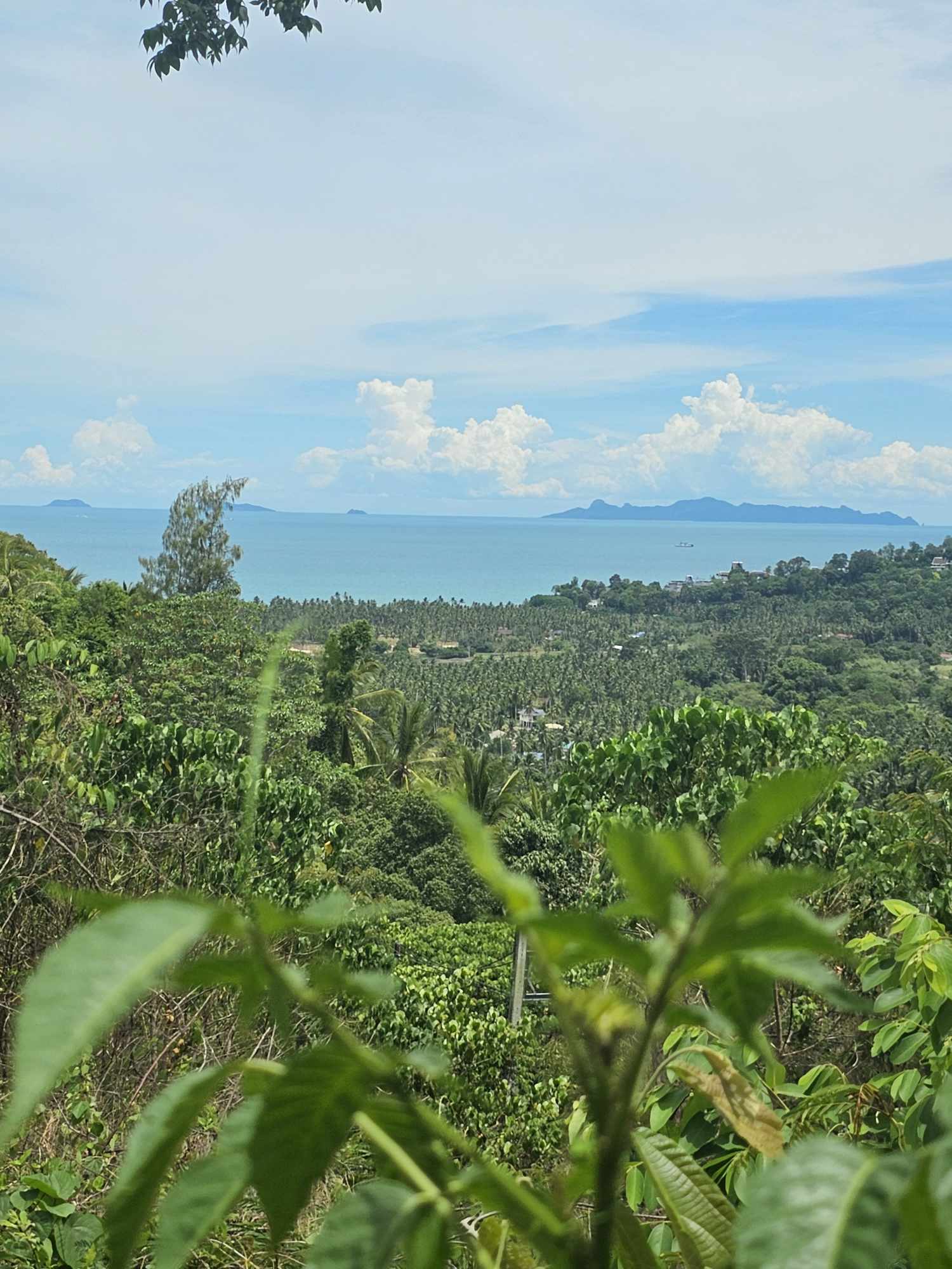 Sea View Land for Sale in Taling Ngam, Koh Samui