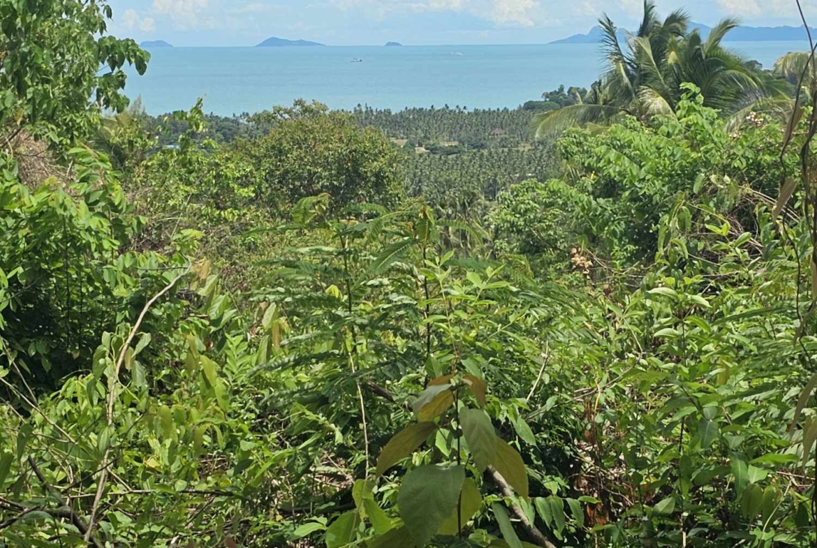 Sea View Land for Sale in Taling Ngam, Koh Samui