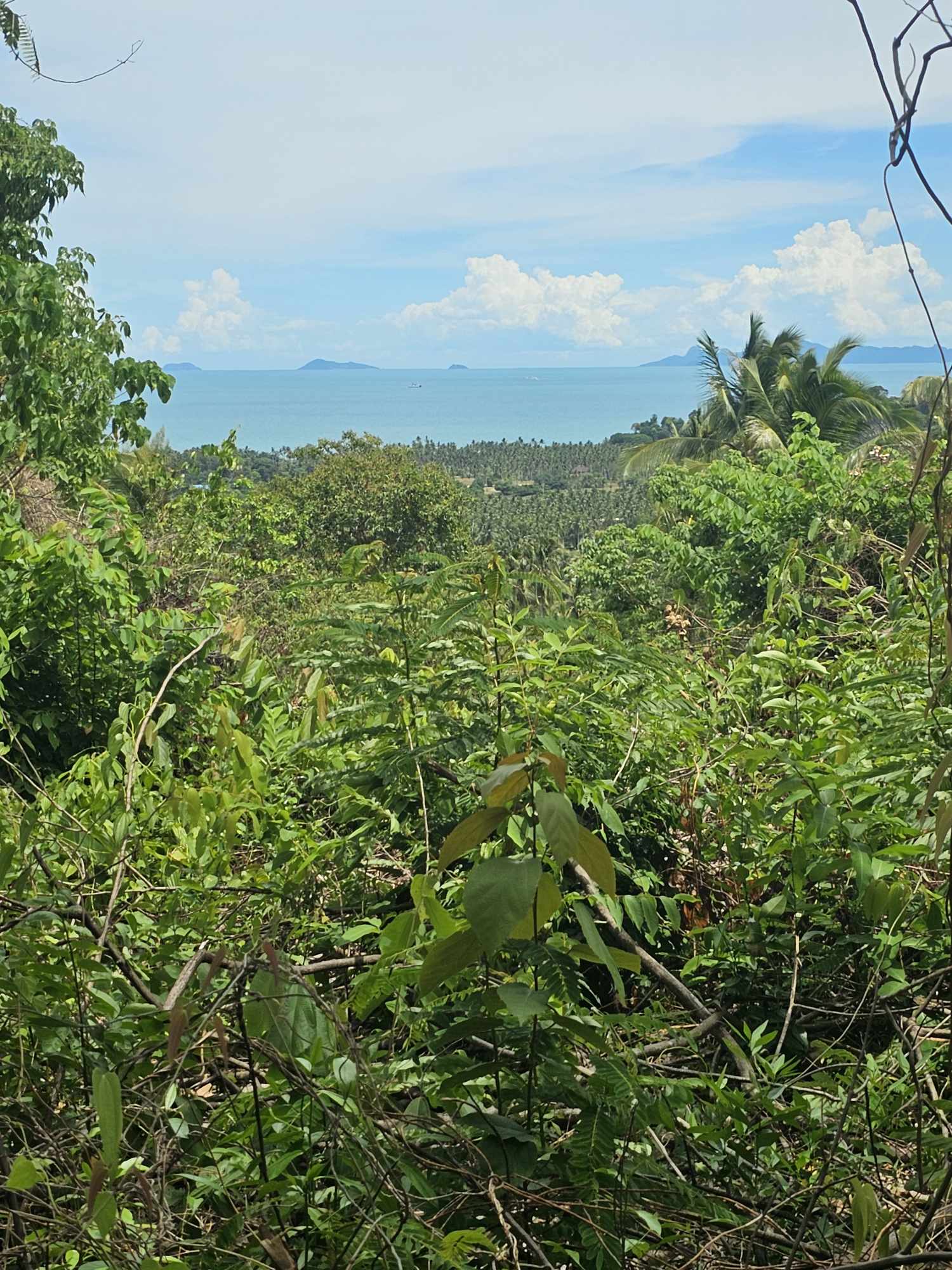 Sea View Land for Sale in Taling Ngam, Koh Samui