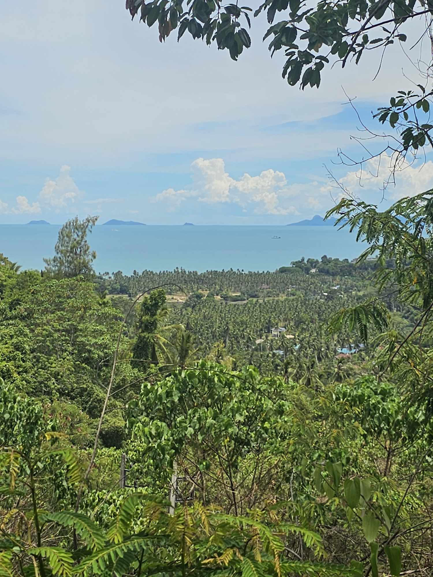 Sea View Land for Sale in Taling Ngam, Koh Samui