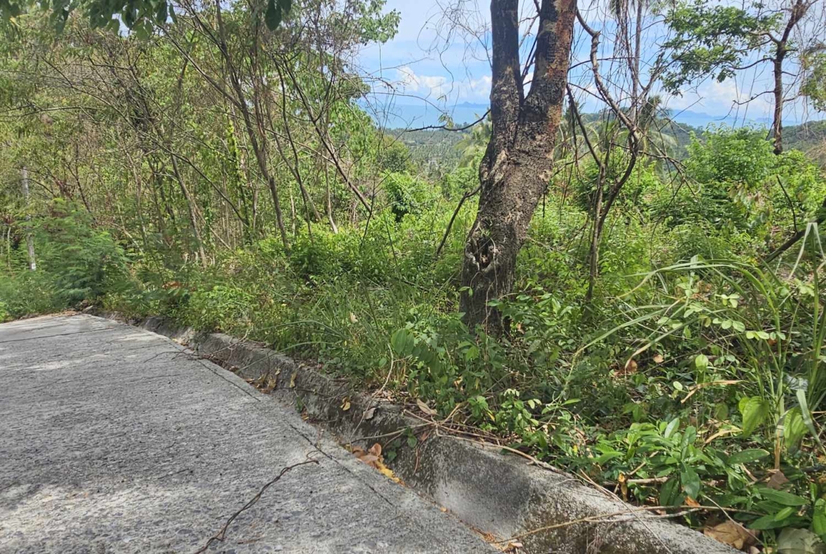 Sea View Land for Sale in Taling Ngam, Koh Samui