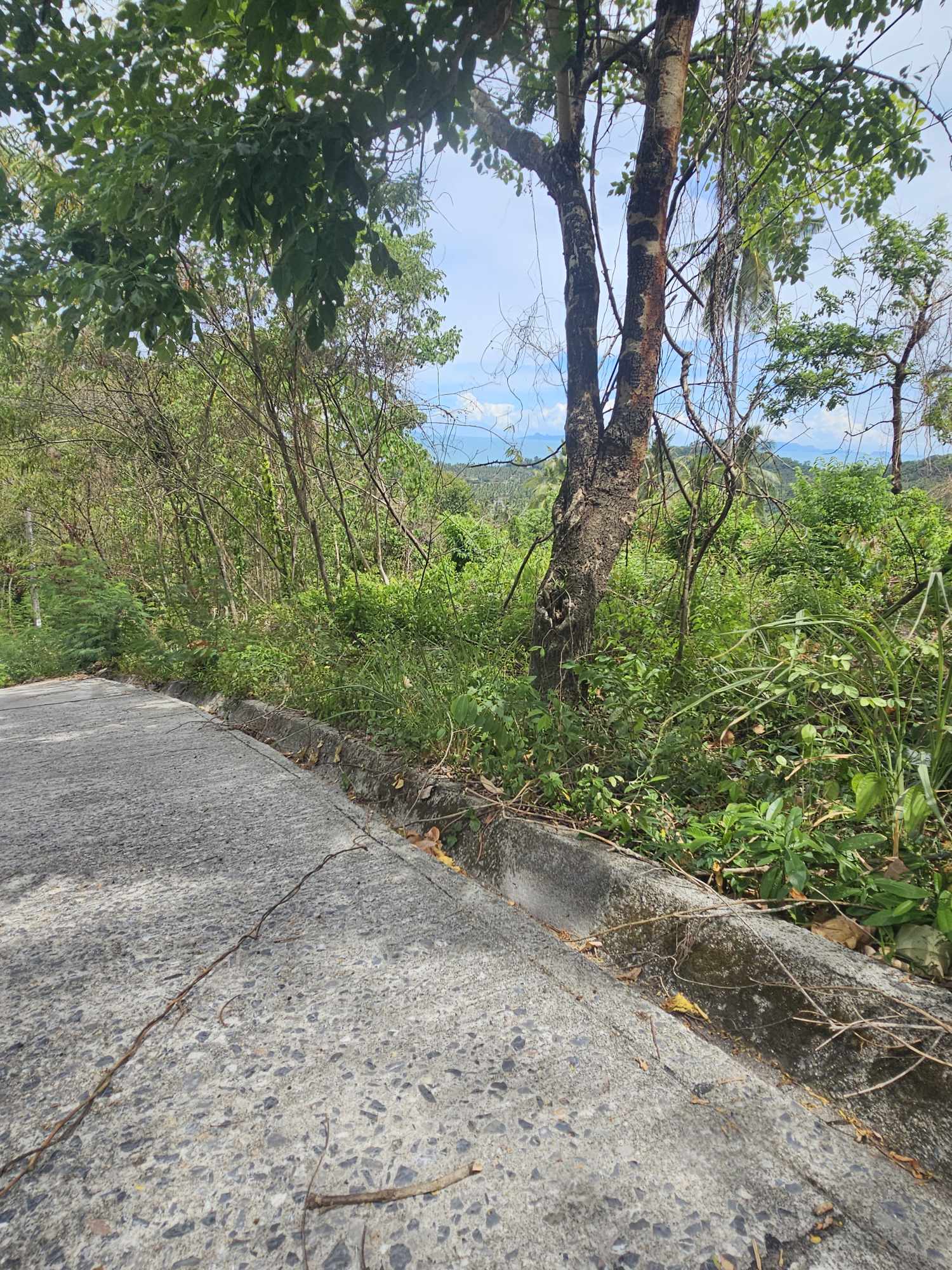 Sea View Land for Sale in Taling Ngam, Koh Samui