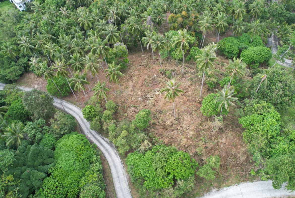 Sea View Land for Sale in Taling Ngam, Koh Samui