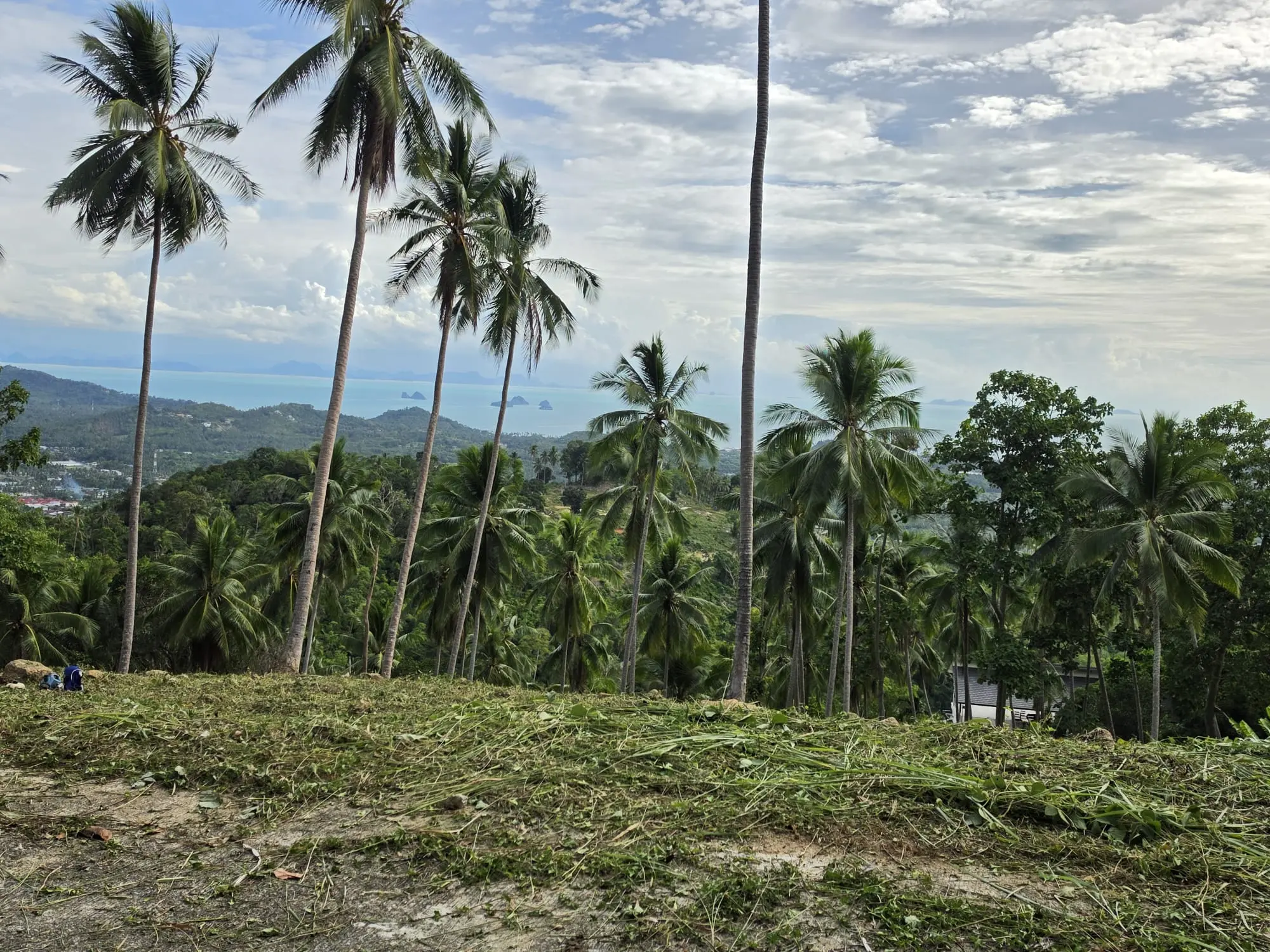 Prime Land for Sale in Lipa Noi, Koh Samui – 836 Sq.m.