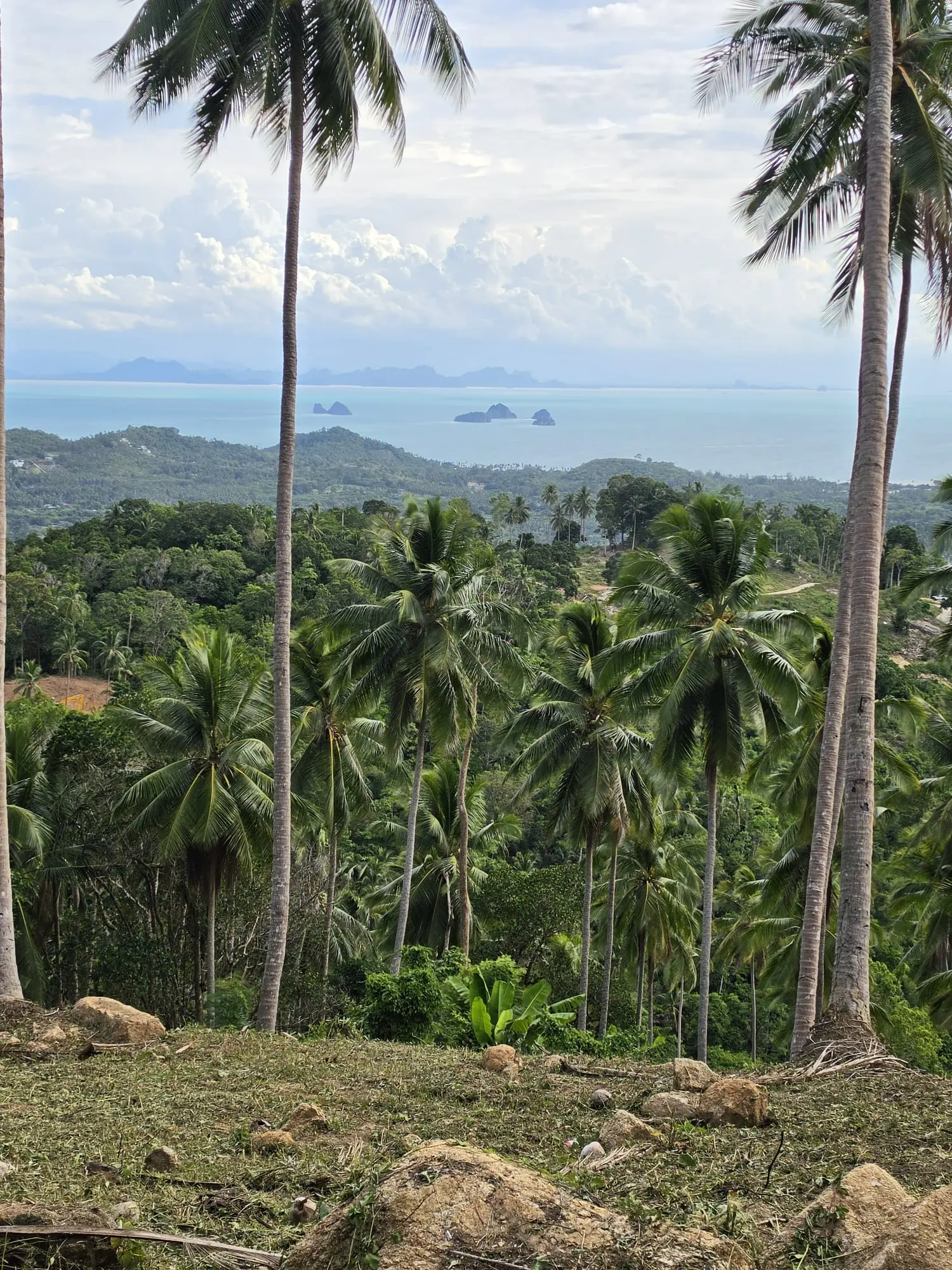 Prime Land for Sale in Lipa Noi, Koh Samui – 836 Sq.m.