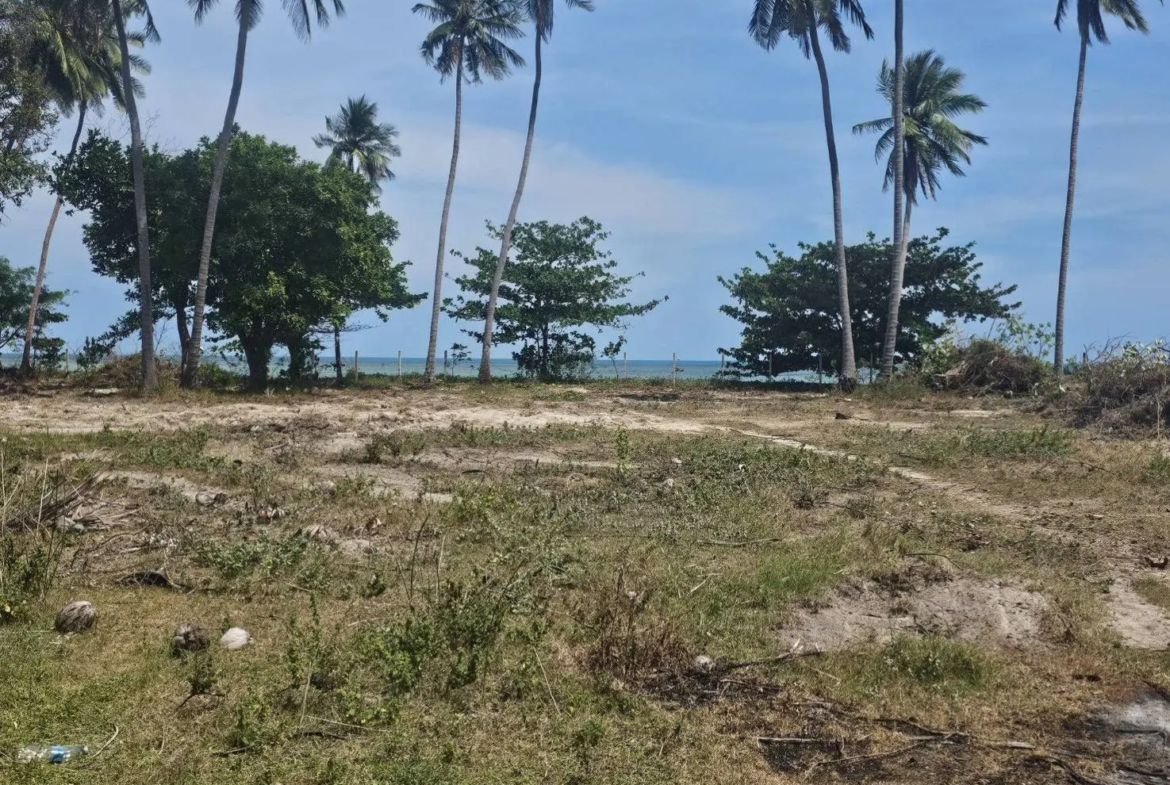 Beachfront Land for Sale in Koh Samui | 6 Rai 2 Ngan 22 Sq.wah in Hua Thanon, Lamai