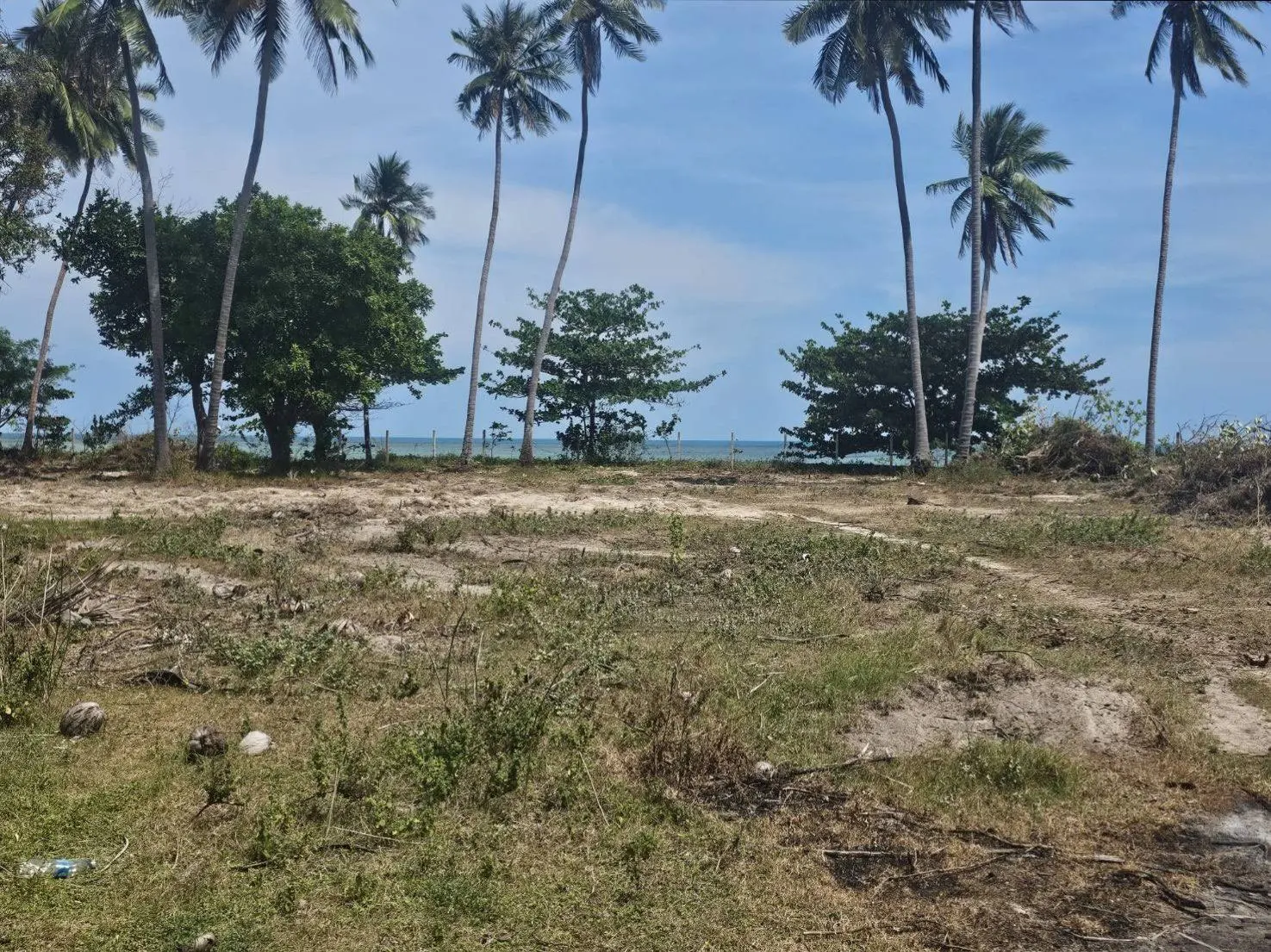 Beach-Front-Huathanon-Lamai-@KohSamui-02-Mar-2026-12-00-06(13)-32 Beachfront Land for Sale in Koh Samui | 6 Rai 2 Ngan 22 Sq.wah in Hua Thanon, Lamai