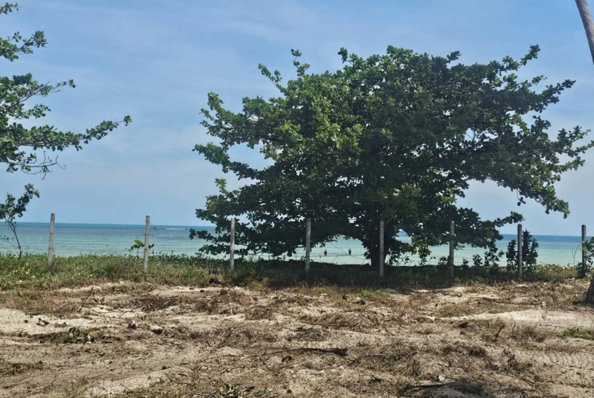 Beachfront Land for Sale in Koh Samui | 6 Rai 2 Ngan 22 Sq.wah in Hua Thanon, Lamai