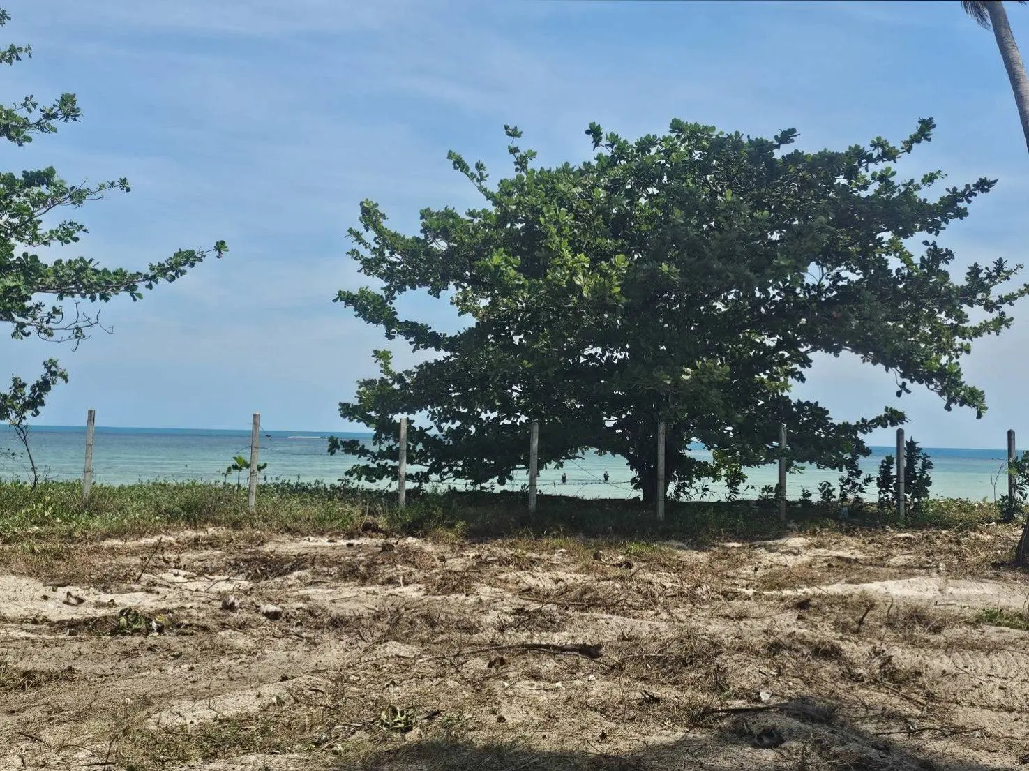 Beach-Front-Huathanon-Lamai-@KohSamui-02-Mar-2026-12-00-06(13)-33 Beachfront Land for Sale in Koh Samui | 6 Rai 2 Ngan 22 Sq.wah in Hua Thanon, Lamai