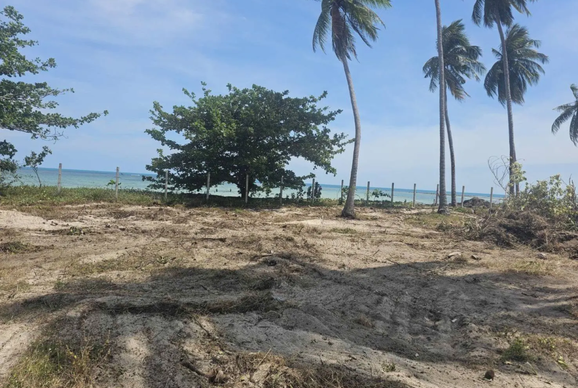 Beachfront Land for Sale in Koh Samui | 6 Rai 2 Ngan 22 Sq.wah in Hua Thanon, Lamai
