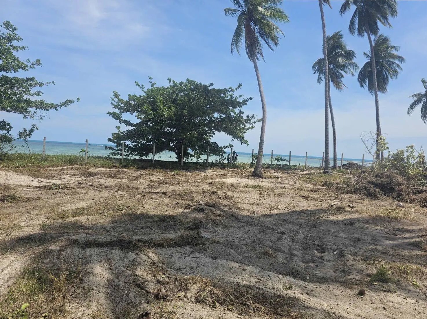 Beach-Front-Huathanon-Lamai-@KohSamui-02-Mar-2026-12-00-06(13)-34 Beachfront Land for Sale in Koh Samui | 6 Rai 2 Ngan 22 Sq.wah in Hua Thanon, Lamai