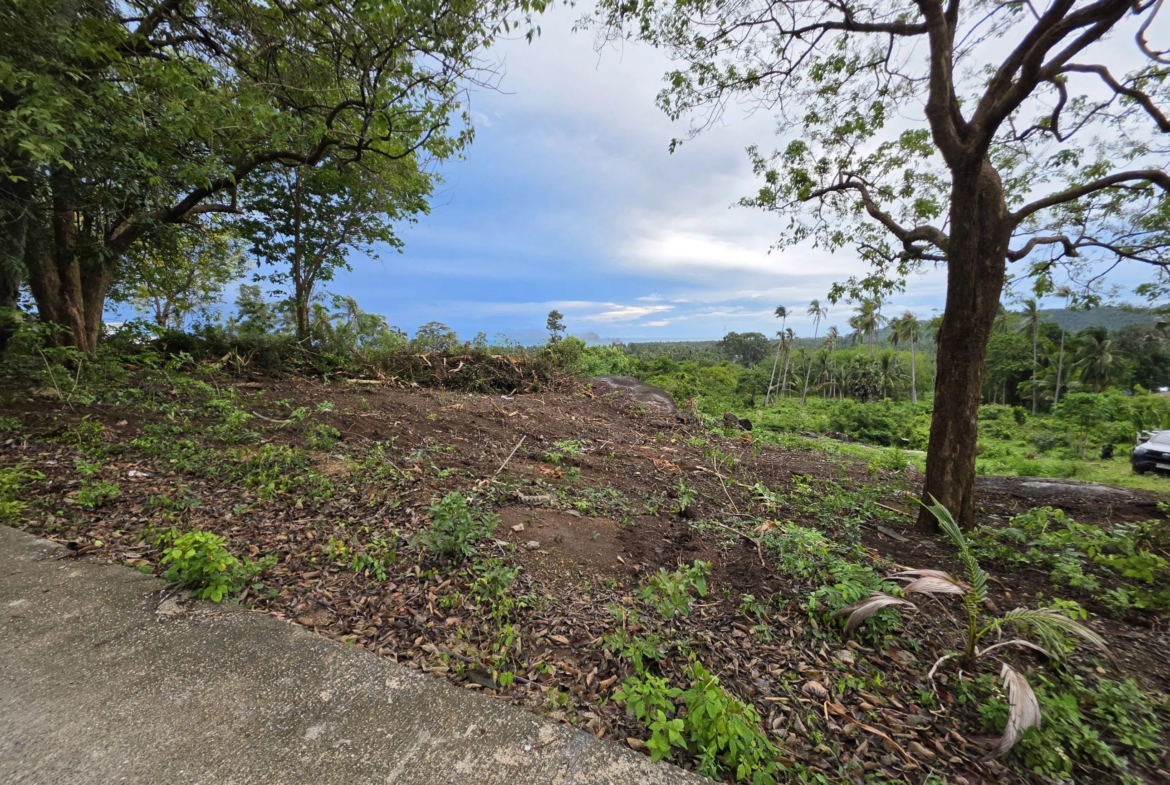 Exceptional Sea View Investment Land in Lamai – Flexible Plot Options