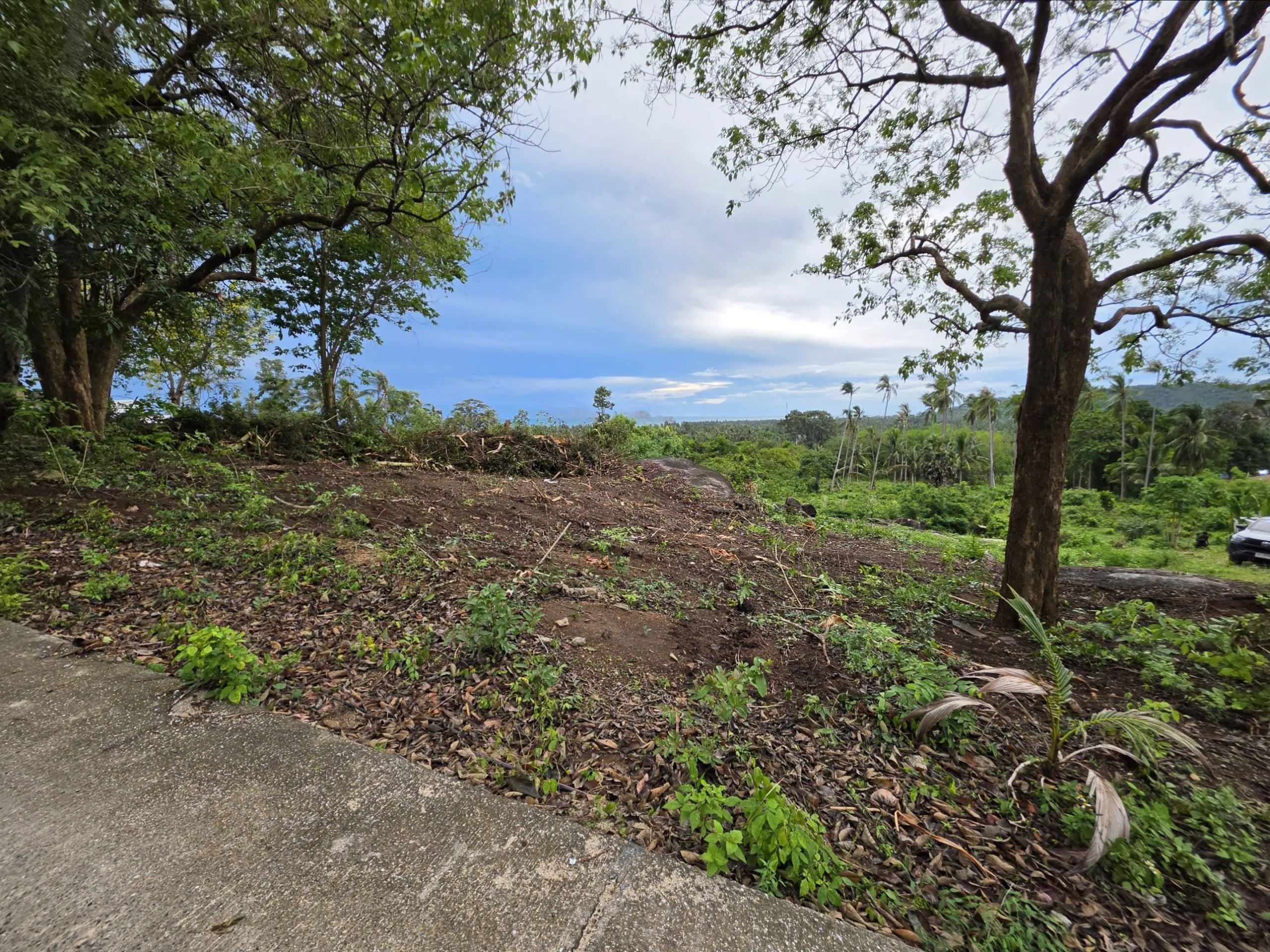 Seaview-Lamai-2-0-52-Rai-07-Jun-2026-14-31-21(11)-19 Exceptional Sea View Investment Land in Lamai – Flexible Plot Options