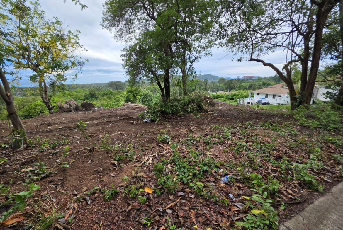 Exceptional Sea View Investment Land in Lamai – Flexible Plot Options