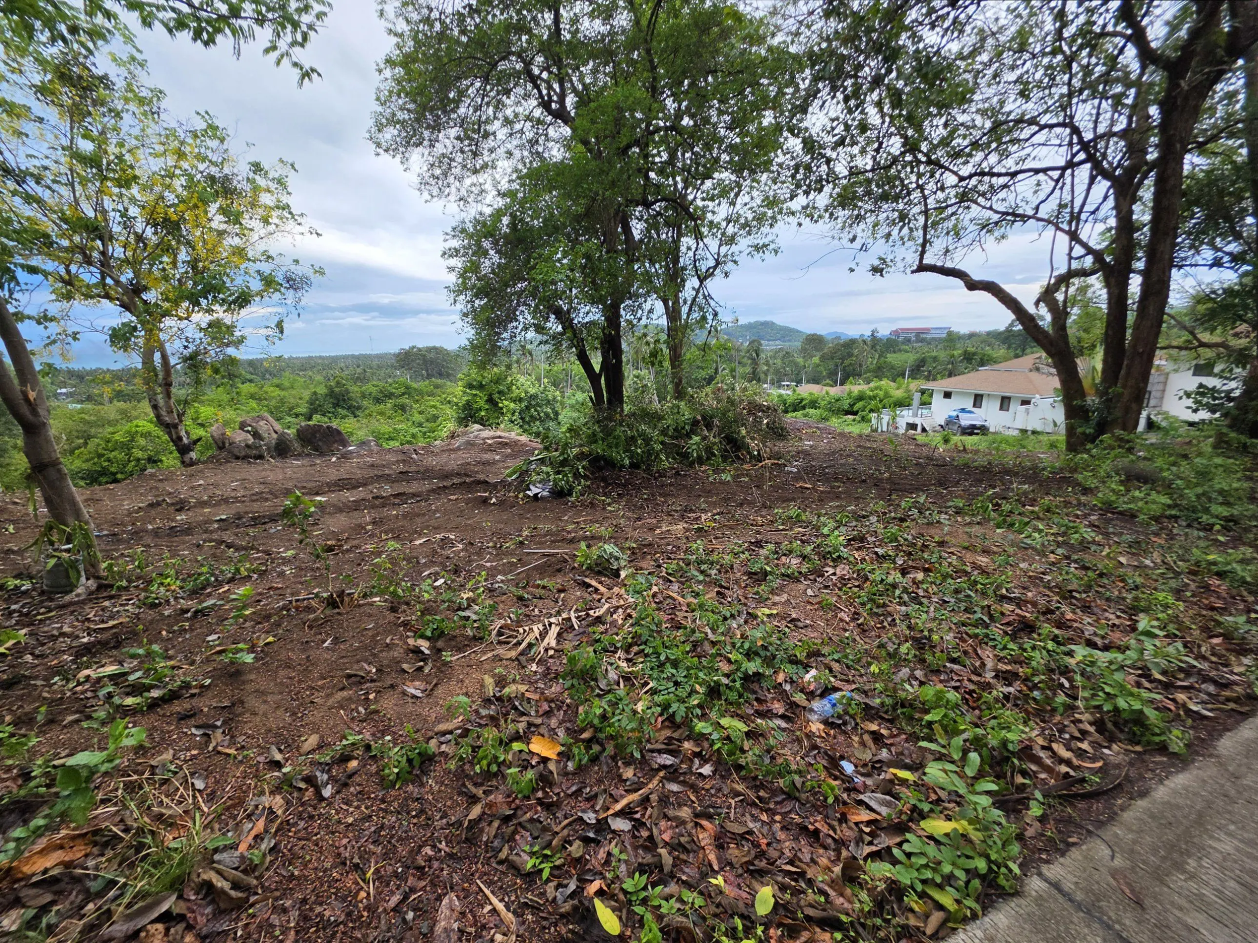 Seaview-Lamai-2-0-52-Rai-07-Jun-2026-14-31-21(11)-20 Exceptional Sea View Investment Land in Lamai – Flexible Plot Options