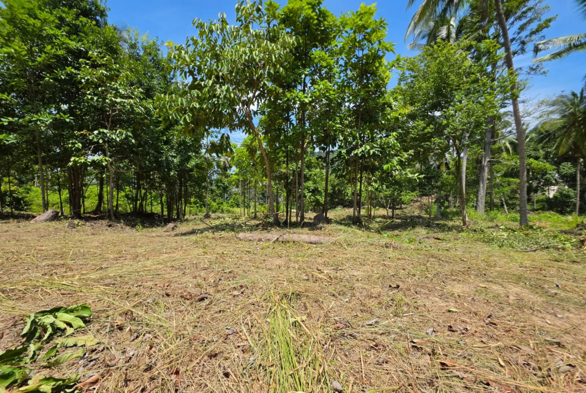 Prime Land Parcel with Partial Sea View for Sale in Chaweng Noi, Koh Samui – Red Title Deed (Chanote), Public Road Access & Electricity Ready