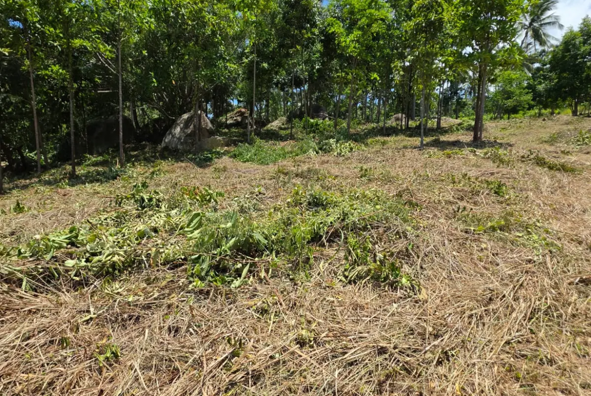 Prime Land Parcel with Partial Sea View for Sale in Chaweng Noi, Koh Samui – Red Title Deed (Chanote), Public Road Access & Electricity Ready