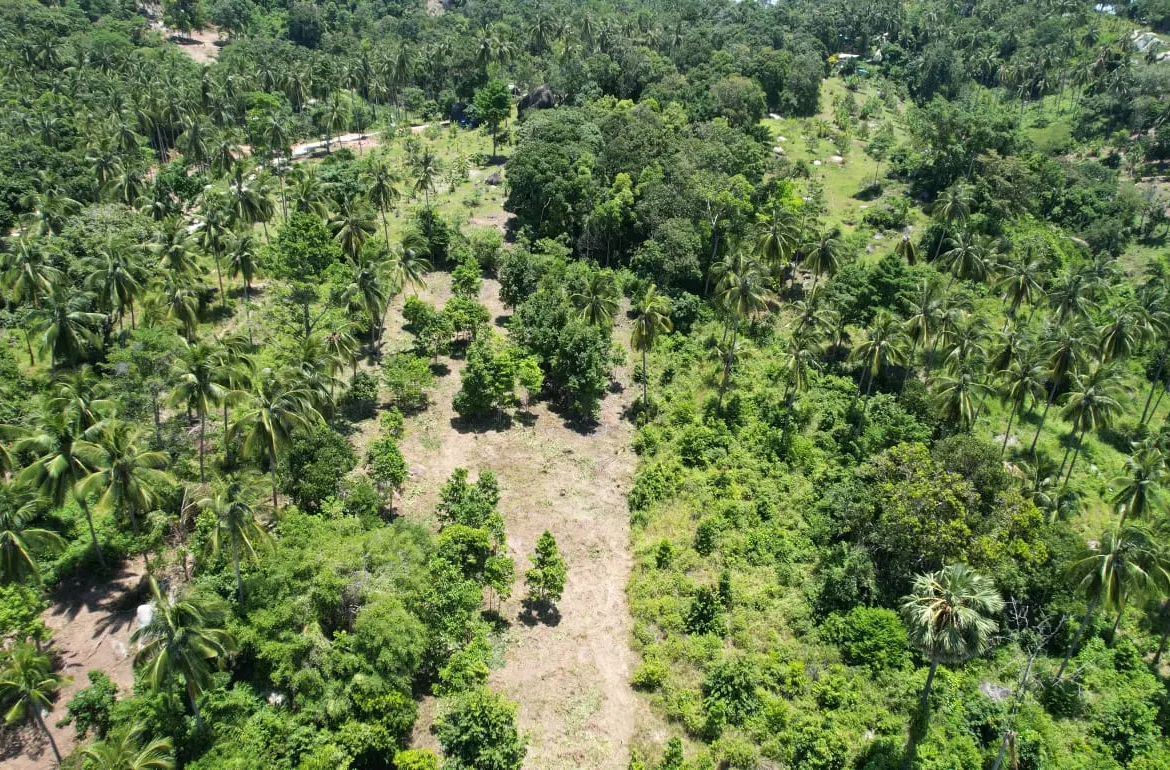 Prime Land Parcel with Partial Sea View for Sale in Chaweng Noi, Koh Samui – Red Title Deed (Chanote), Public Road Access & Electricity Ready