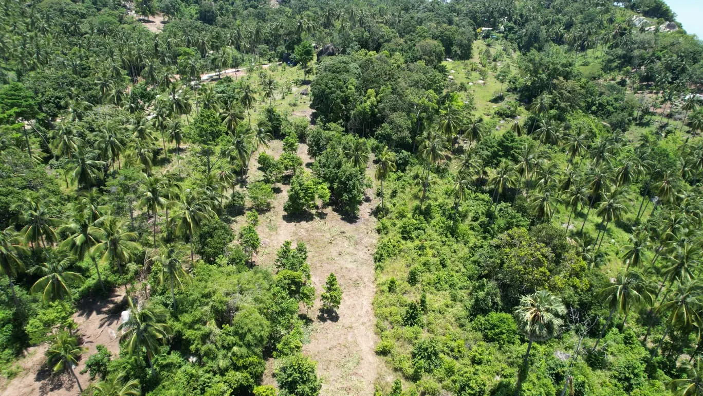 Prime Land Parcel with Partial Sea View for Sale in Chaweng Noi, Koh Samui – Red Title Deed (Chanote), Public Road Access & Electricity Ready