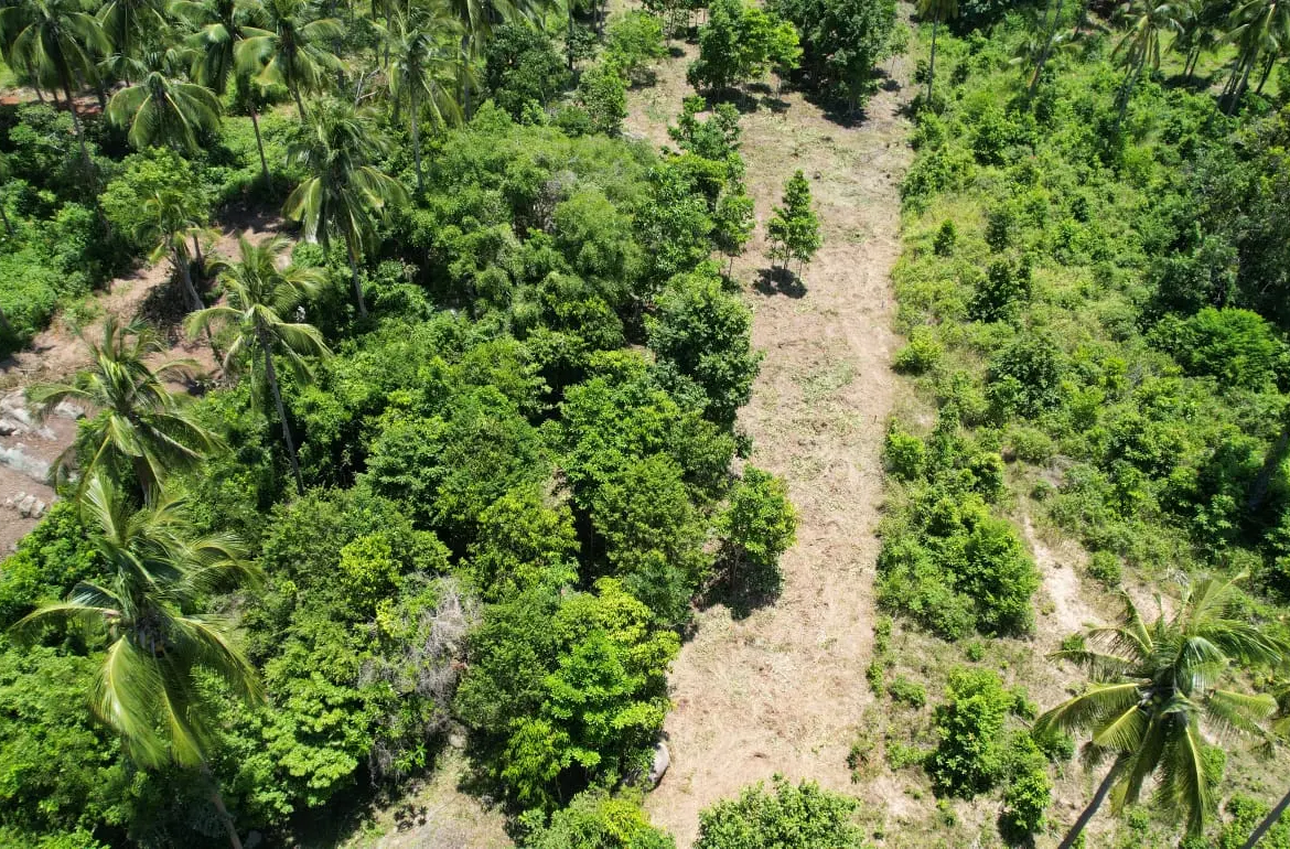 Prime Land Parcel with Partial Sea View for Sale in Chaweng Noi, Koh Samui – Red Title Deed (Chanote), Public Road Access & Electricity Ready