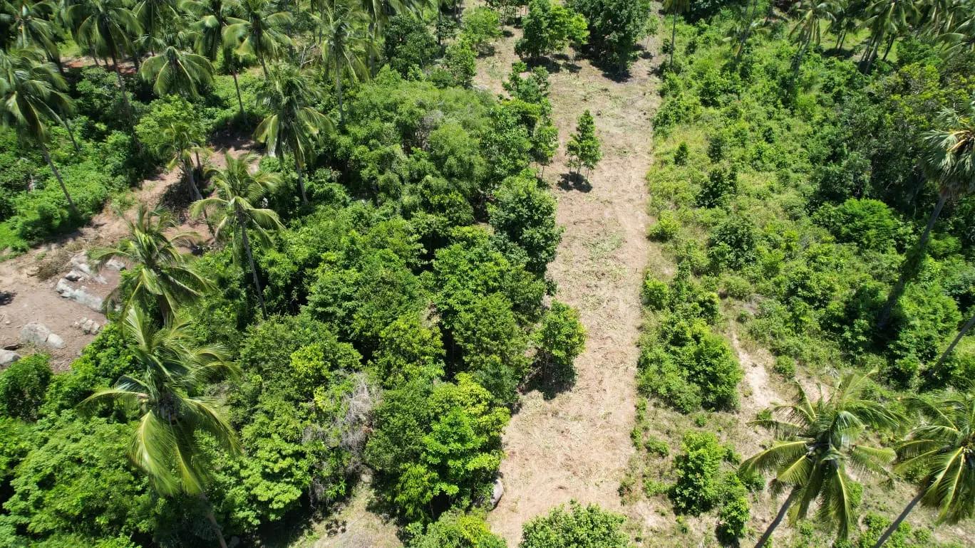 Prime Land Parcel with Partial Sea View for Sale in Chaweng Noi, Koh Samui – Red Title Deed (Chanote), Public Road Access & Electricity Ready