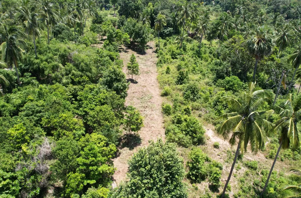 Prime Land Parcel with Partial Sea View for Sale in Chaweng Noi, Koh Samui – Red Title Deed (Chanote), Public Road Access & Electricity Ready