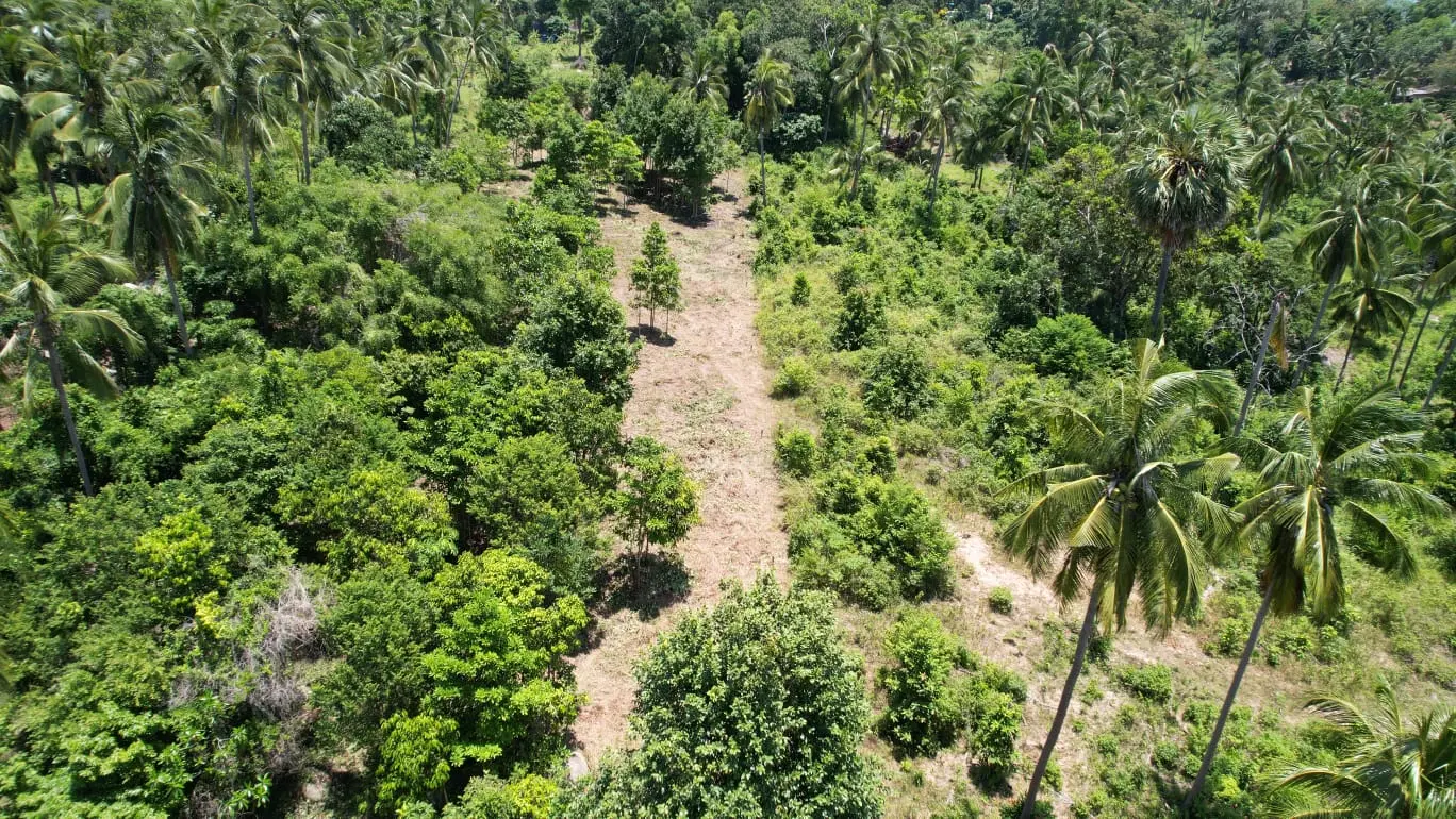Prime Land Parcel with Partial Sea View for Sale in Chaweng Noi, Koh Samui – Red Title Deed (Chanote), Public Road Access & Electricity Ready