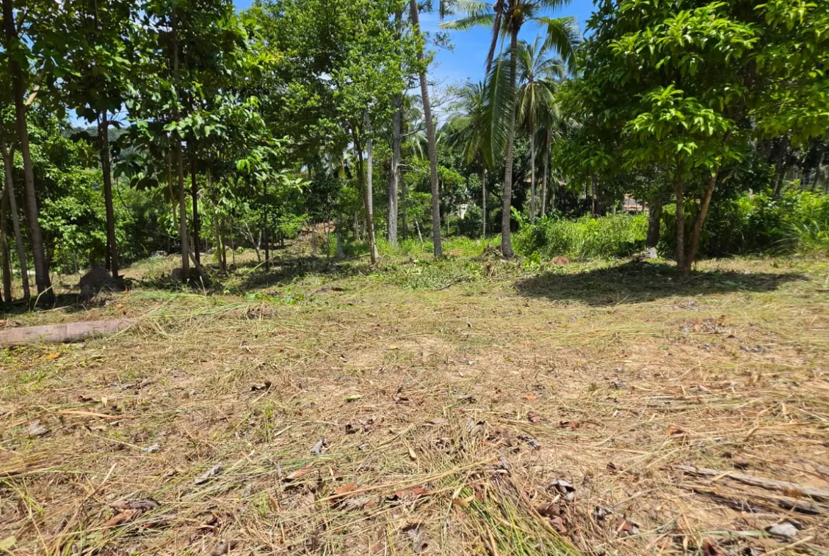 Prime Land Parcel with Partial Sea View for Sale in Chaweng Noi, Koh Samui – Red Title Deed (Chanote), Public Road Access & Electricity Ready