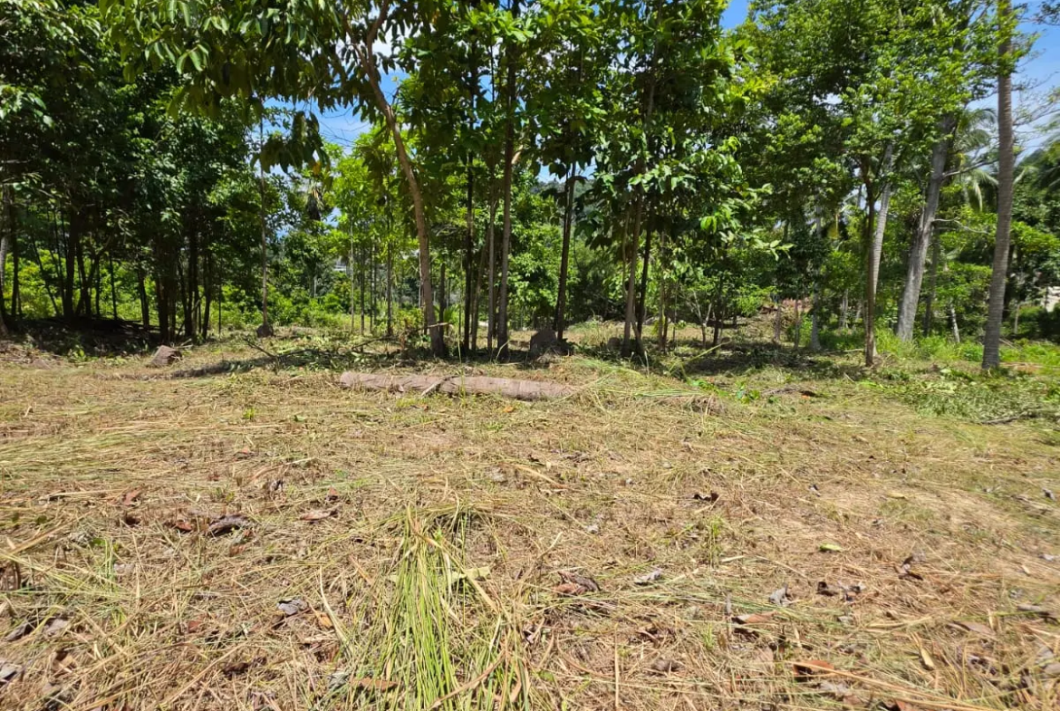 Prime Land Parcel with Partial Sea View for Sale in Chaweng Noi, Koh Samui – Red Title Deed (Chanote), Public Road Access & Electricity Ready