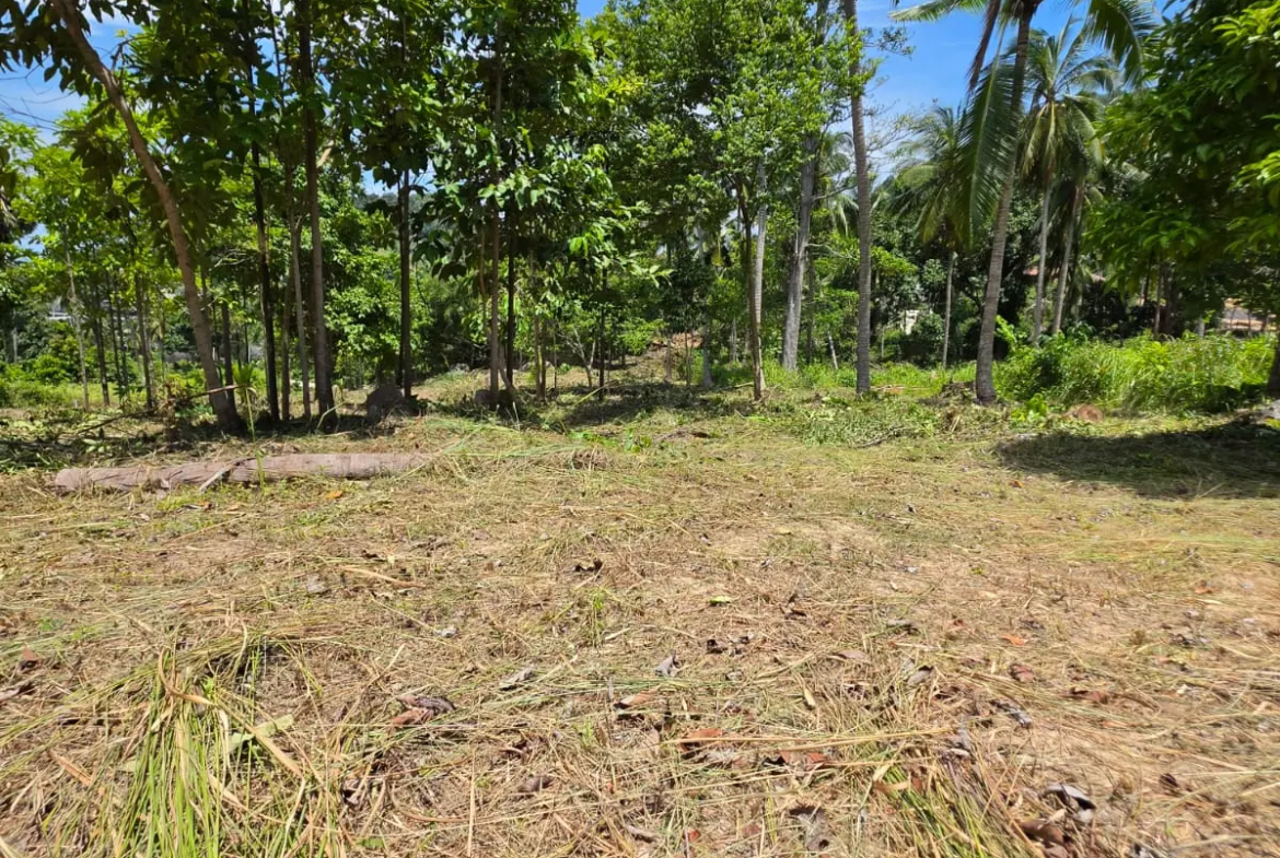 Prime Land Parcel with Partial Sea View for Sale in Chaweng Noi, Koh Samui – Red Title Deed (Chanote), Public Road Access & Electricity Ready