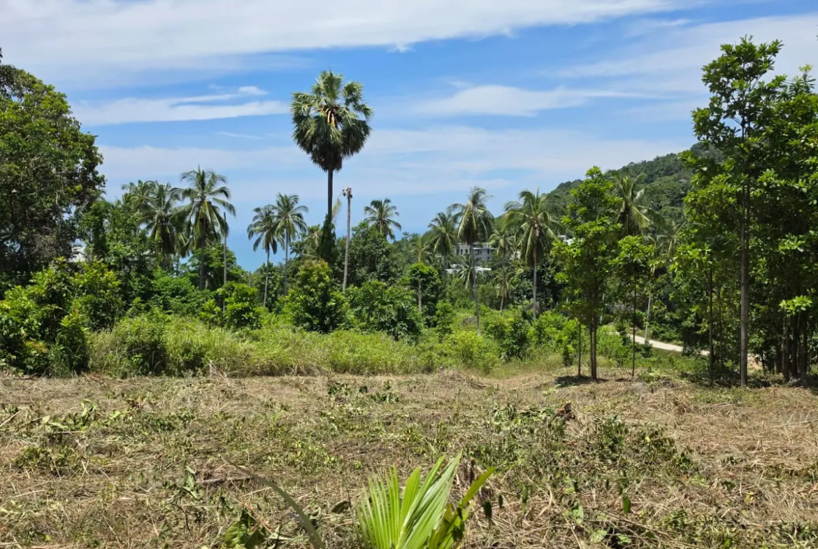 Prime Land Parcel with Partial Sea View for Sale in Chaweng Noi, Koh Samui – Red Title Deed (Chanote), Public Road Access & Electricity Ready