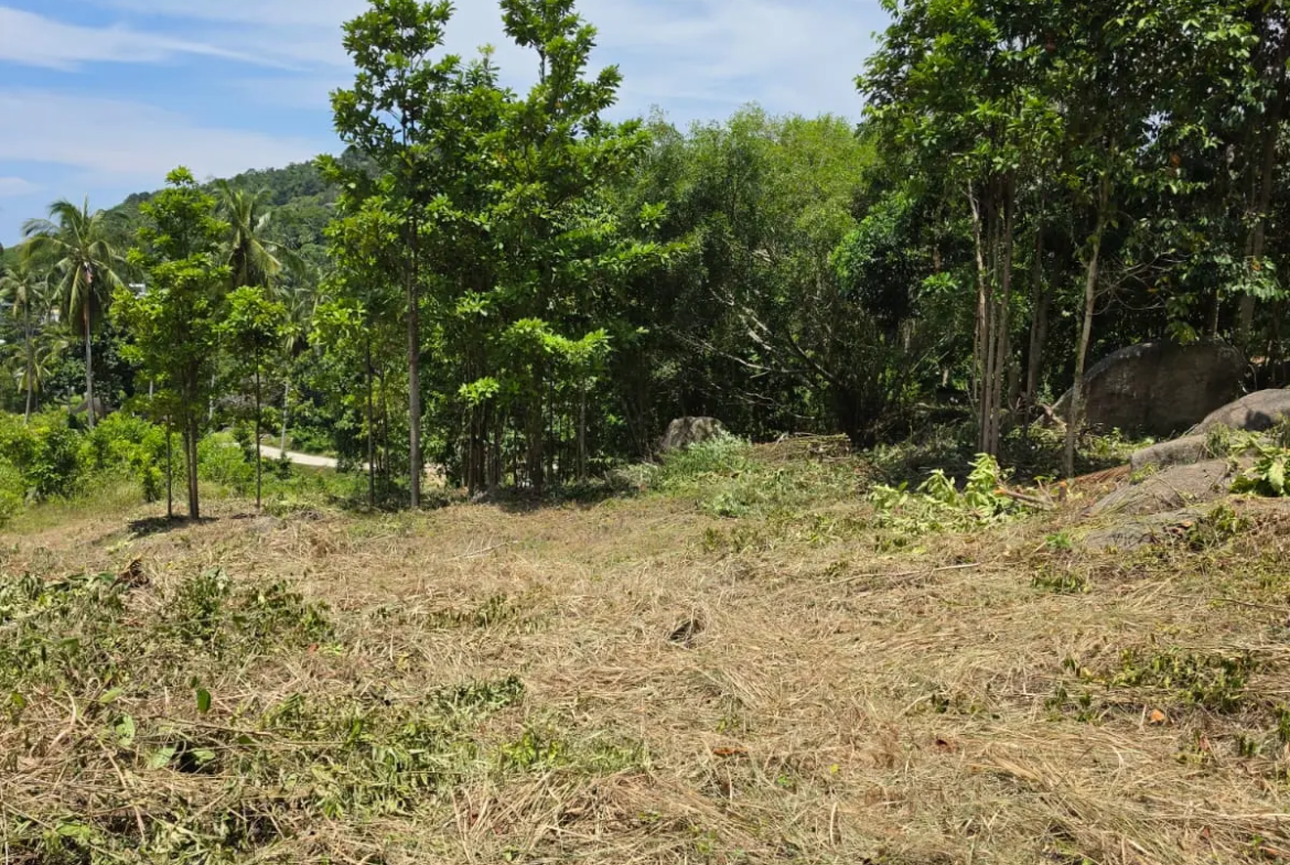 Prime Land Parcel with Partial Sea View for Sale in Chaweng Noi, Koh Samui – Red Title Deed (Chanote), Public Road Access & Electricity Ready