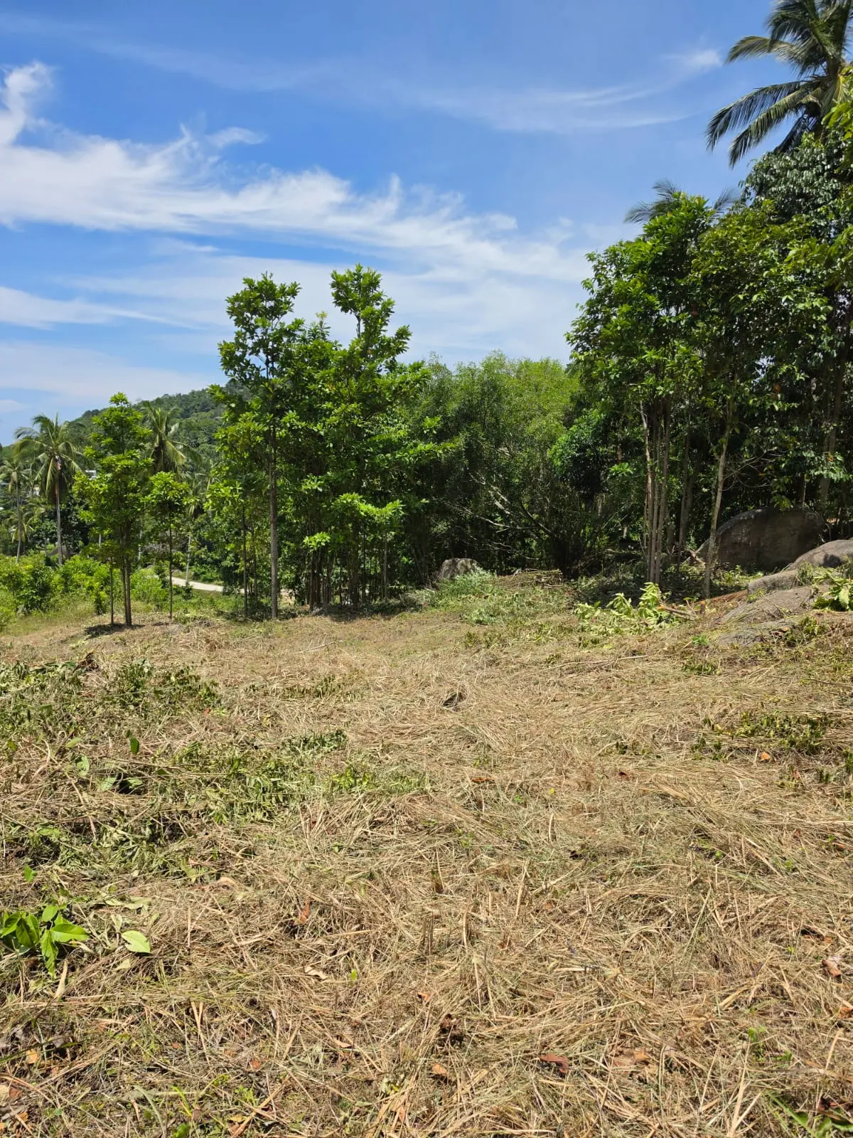 Prime Land Parcel with Partial Sea View for Sale in Chaweng Noi, Koh Samui – Red Title Deed (Chanote), Public Road Access & Electricity Ready