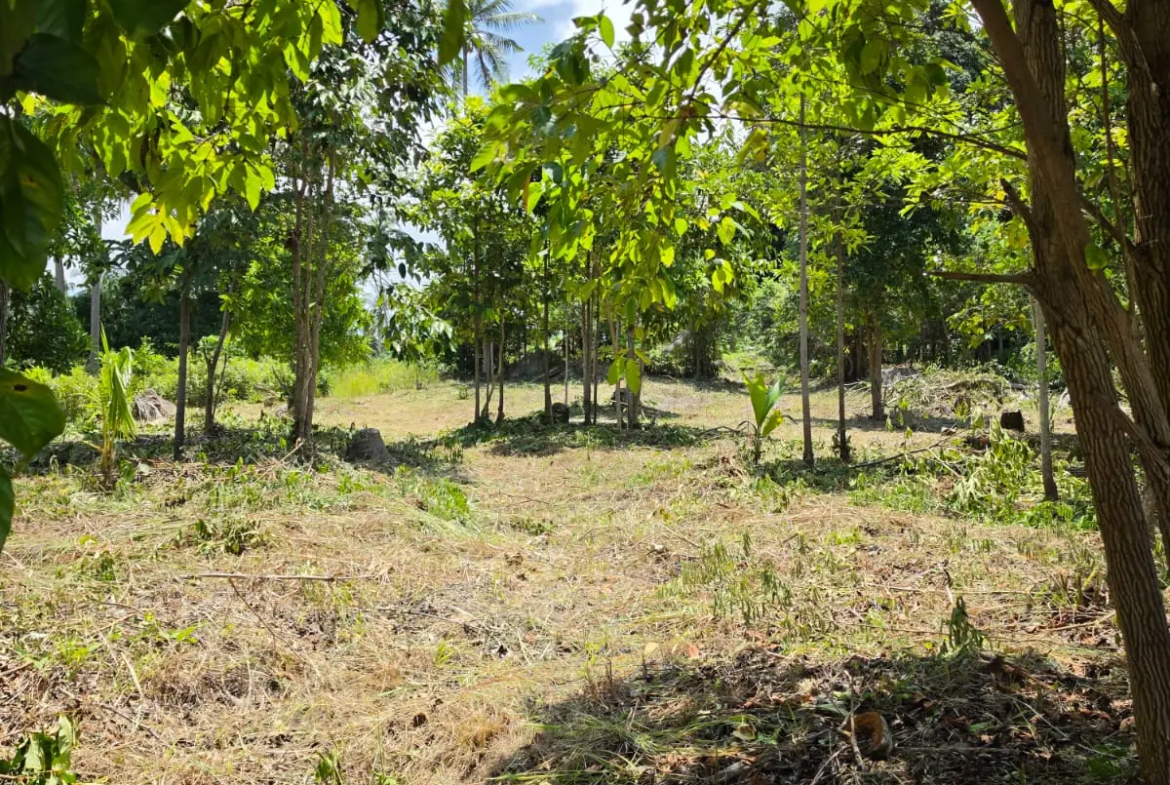 Prime Land Parcel with Partial Sea View for Sale in Chaweng Noi, Koh Samui – Red Title Deed (Chanote), Public Road Access & Electricity Ready