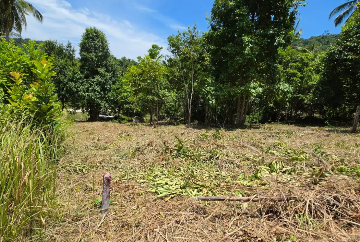 Prime Land Parcel with Partial Sea View for Sale in Chaweng Noi, Koh Samui – Red Title Deed (Chanote), Public Road Access & Electricity Ready
